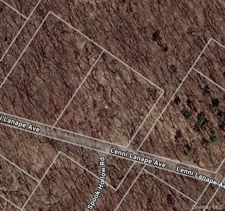 Lenni Lenape Avenue, Mamakating, NY, ,Land,For Rent,Lenni Lenape,0,972900 Lenni Lenape Avenue, Mamakating, NY, ,Land,For Rent,Lenni Lenape,0,972900