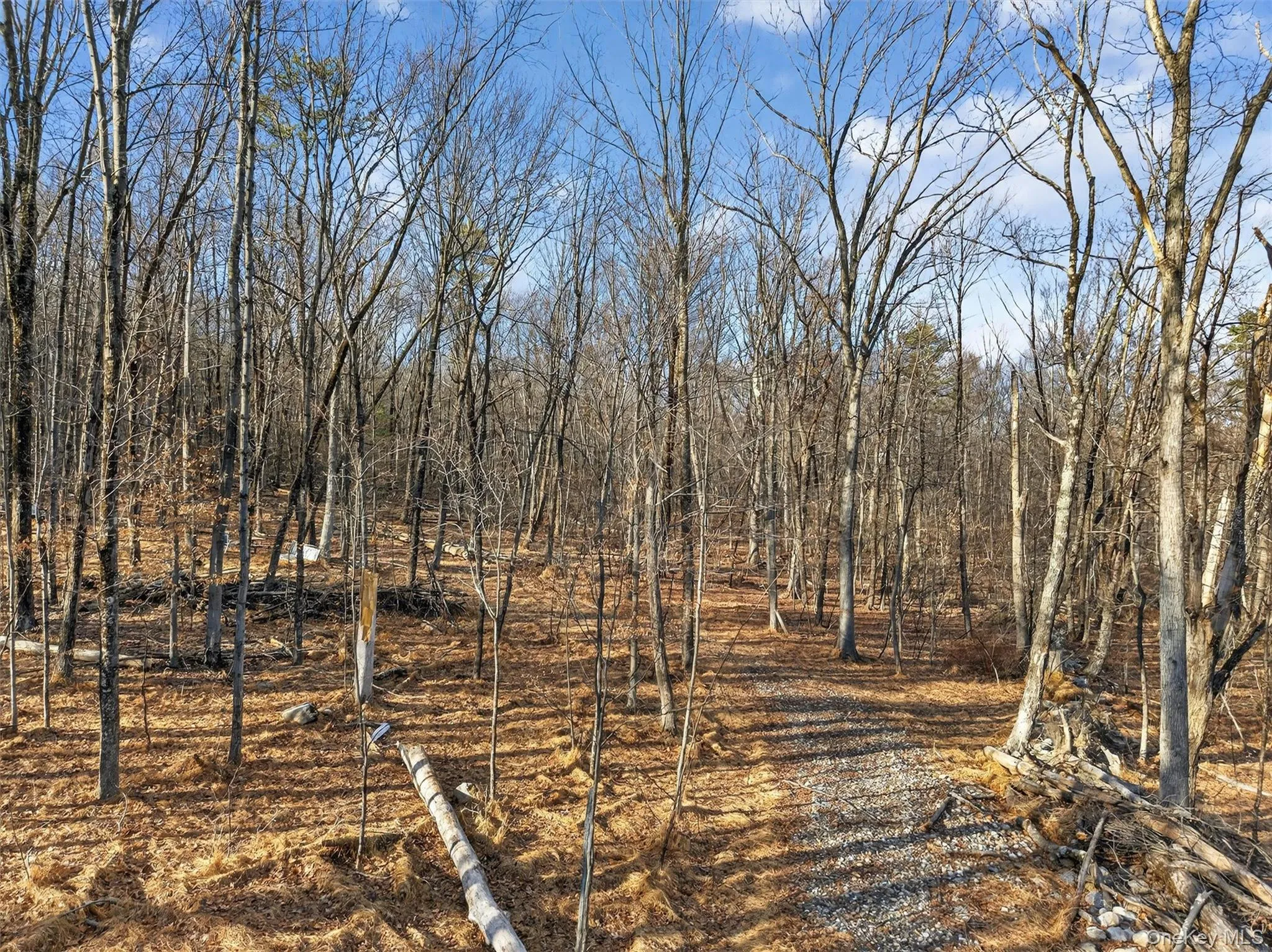 Lenni Lenape Avenue, Mamakating, NY, ,Land,For Rent,Lenni Lenape,0,972900 Lenni Lenape Avenue, Mamakating, NY, ,Land,For Rent,Lenni Lenape,0,972900