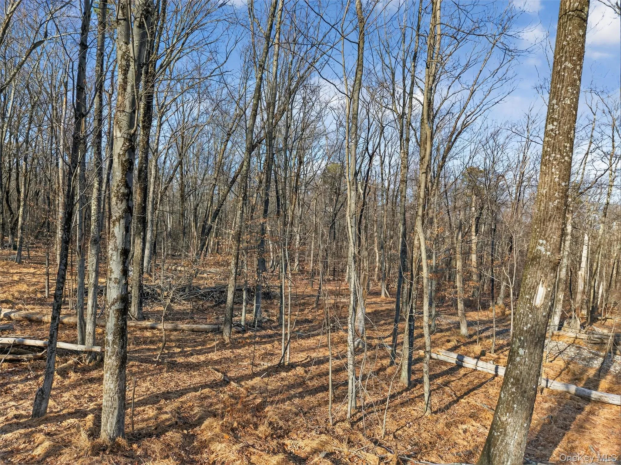 Lenni Lenape Avenue, Mamakating, NY, ,Land,For Rent,Lenni Lenape,0,972900 Lenni Lenape Avenue, Mamakating, NY, ,Land,For Rent,Lenni Lenape,0,972900