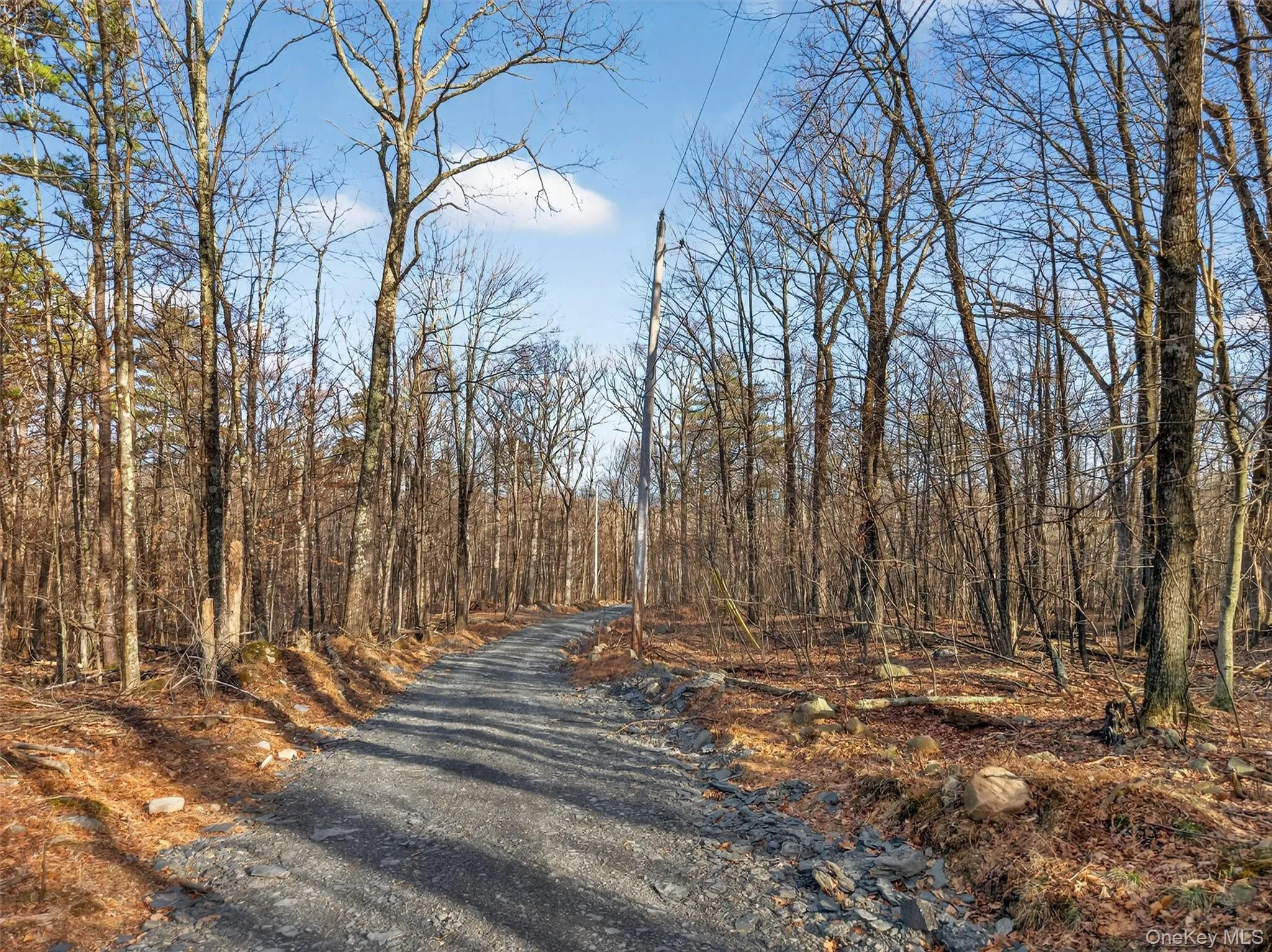 Lenni Lenape Avenue, Mamakating, NY, ,Land,For Rent,Lenni Lenape,0,972900 Lenni Lenape Avenue, Mamakating, NY, ,Land,For Rent,Lenni Lenape,0,972900