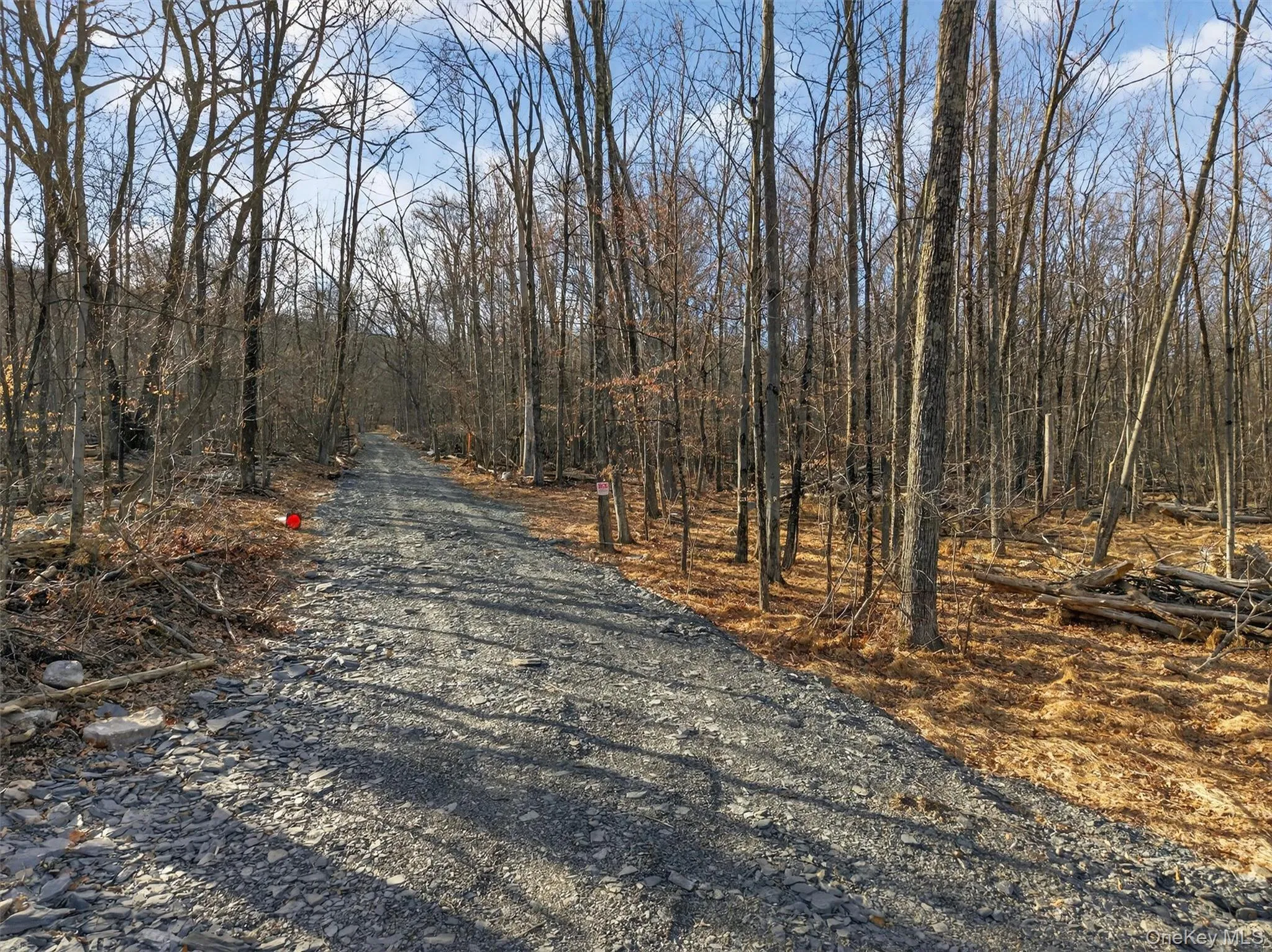 Lenni Lenape Avenue, Mamakating, NY, ,Land,For Rent,Lenni Lenape,0,972900 Lenni Lenape Avenue, Mamakating, NY, ,Land,For Rent,Lenni Lenape,0,972900