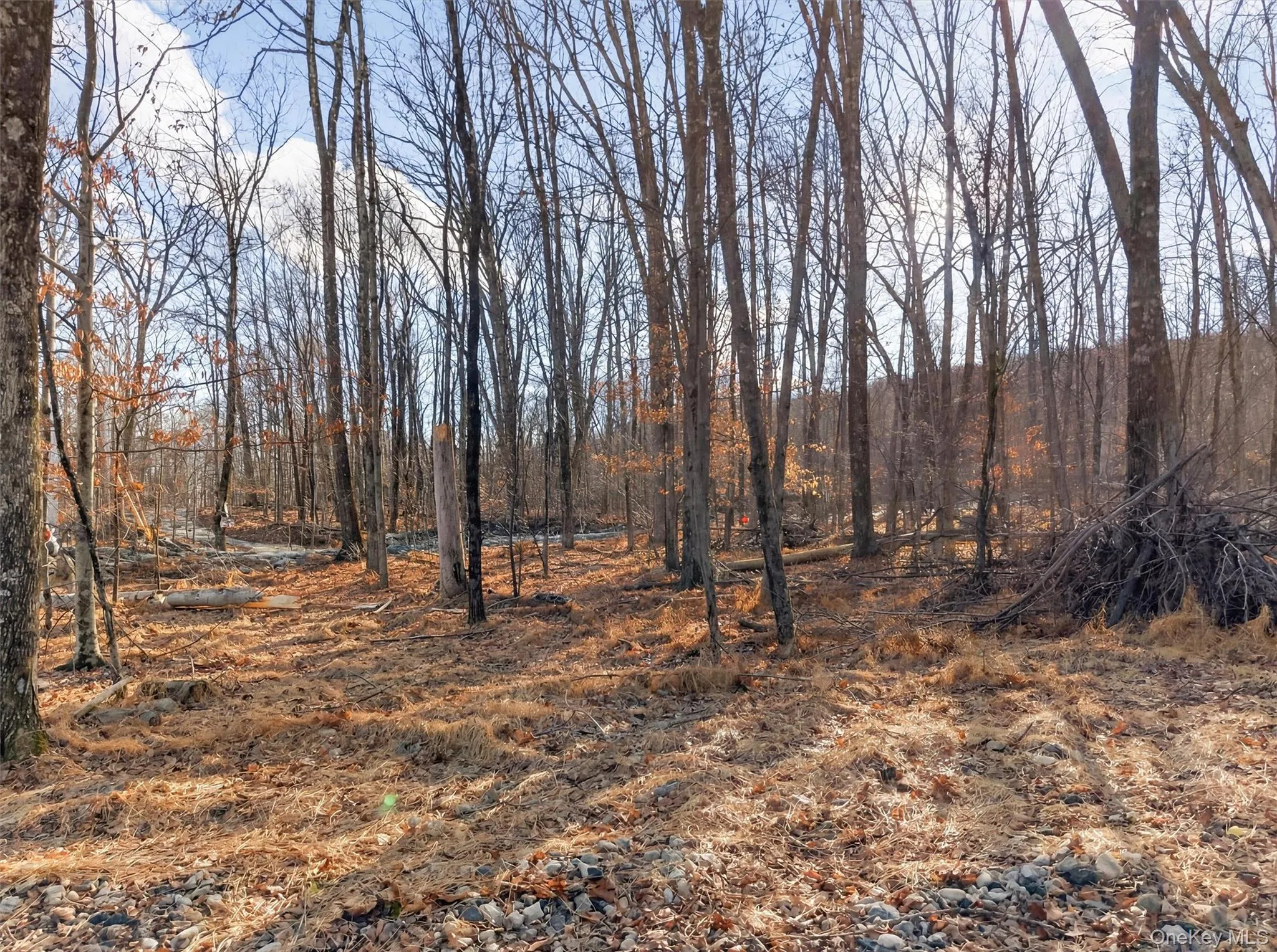 Lenni Lenape Avenue, Mamakating, NY, ,Land,For Rent,Lenni Lenape,0,972900 Lenni Lenape Avenue, Mamakating, NY, ,Land,For Rent,Lenni Lenape,0,972900