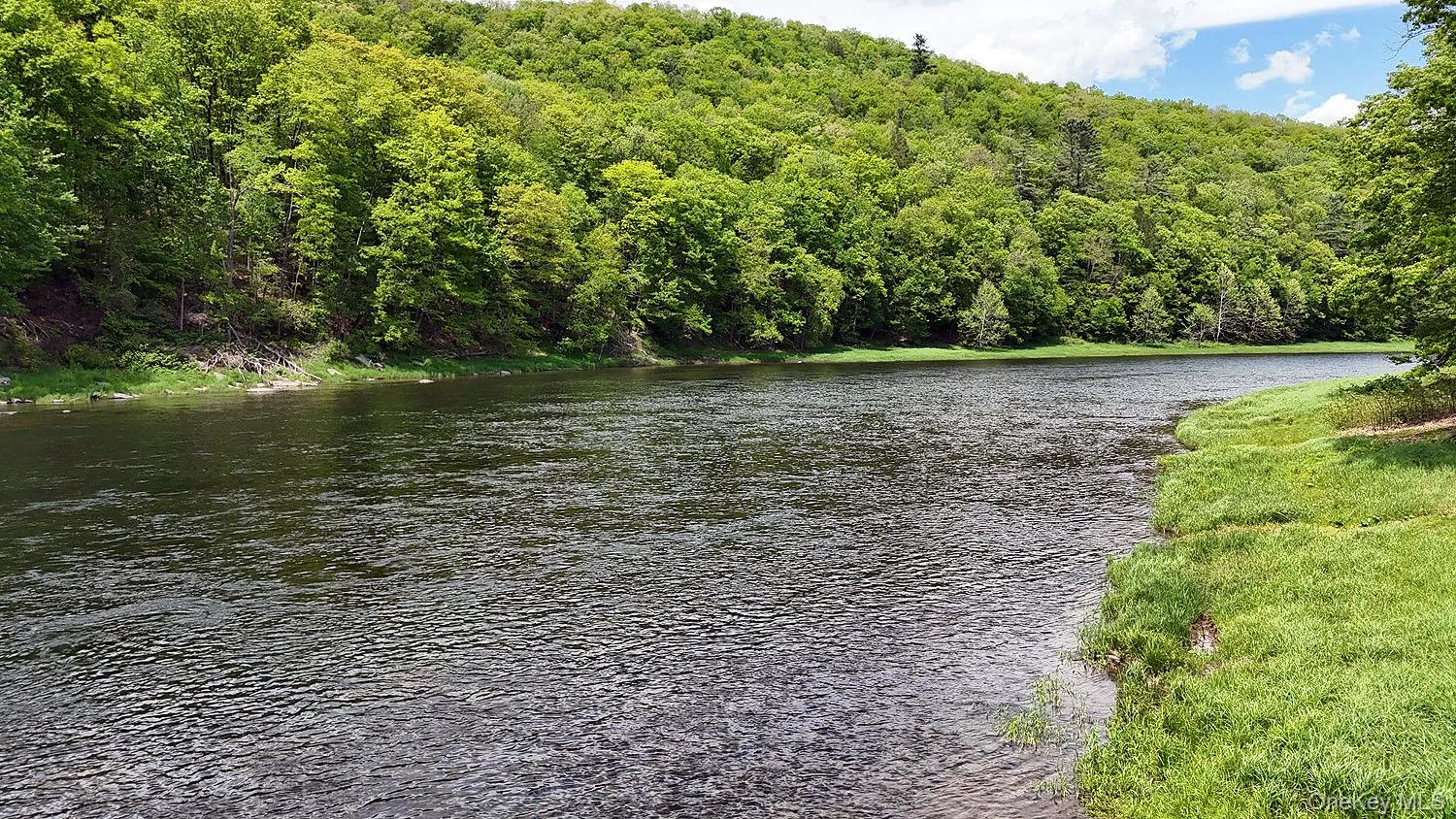 860 River Road, Delaware, NY, 1 Bedroom Bedrooms, 2 Rooms Rooms,1 BathroomBathrooms,Residential,For Rent,River,0,972903 860 River Road, Delaware, NY, 1 Bedroom Bedrooms, 2 Rooms Rooms,1 BathroomBathrooms,Residential,For Rent,River,0,972903
