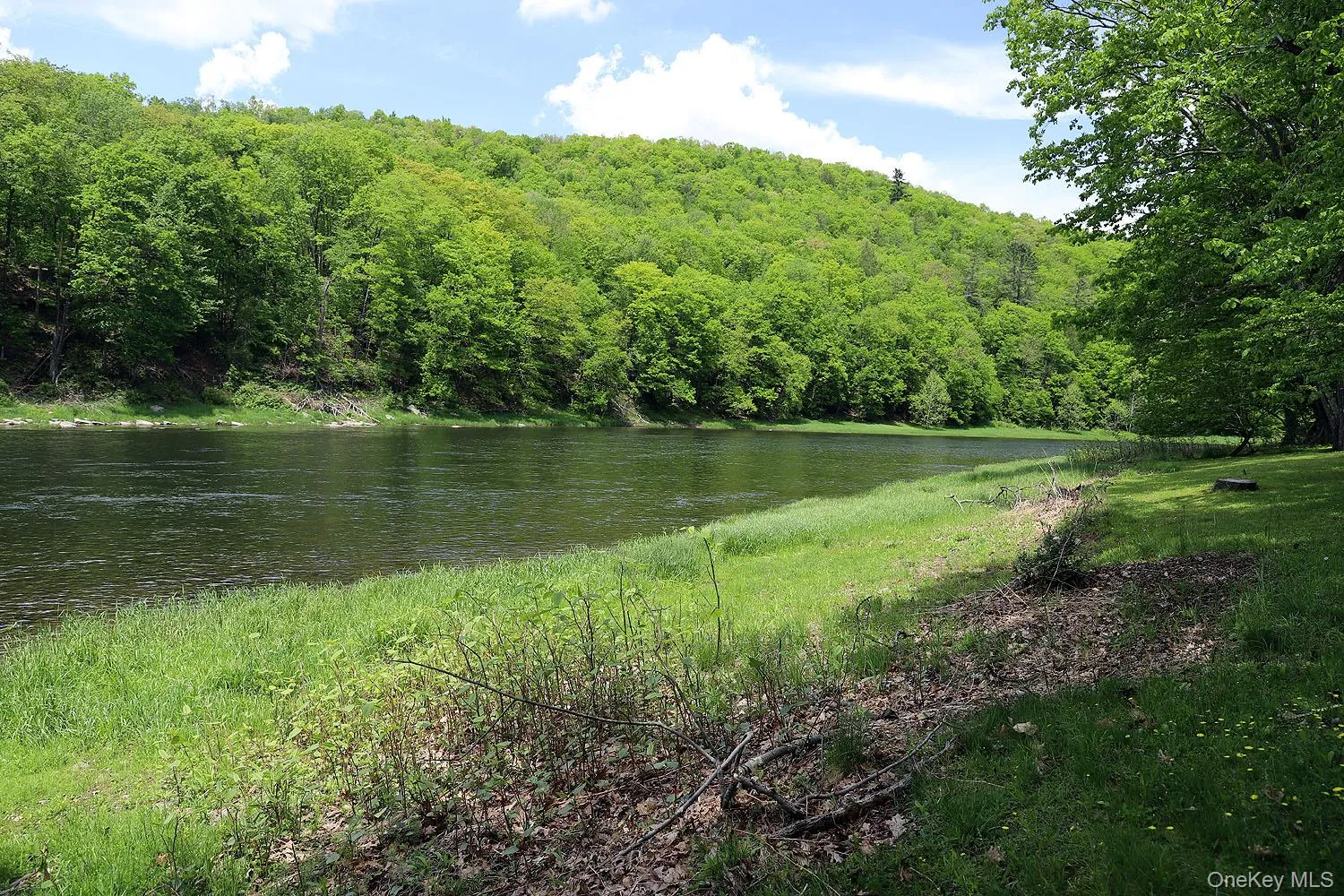 860 River Road, Delaware, NY, 1 Bedroom Bedrooms, 2 Rooms Rooms,1 BathroomBathrooms,Residential,For Rent,River,0,972903 860 River Road, Delaware, NY, 1 Bedroom Bedrooms, 2 Rooms Rooms,1 BathroomBathrooms,Residential,For Rent,River,0,972903