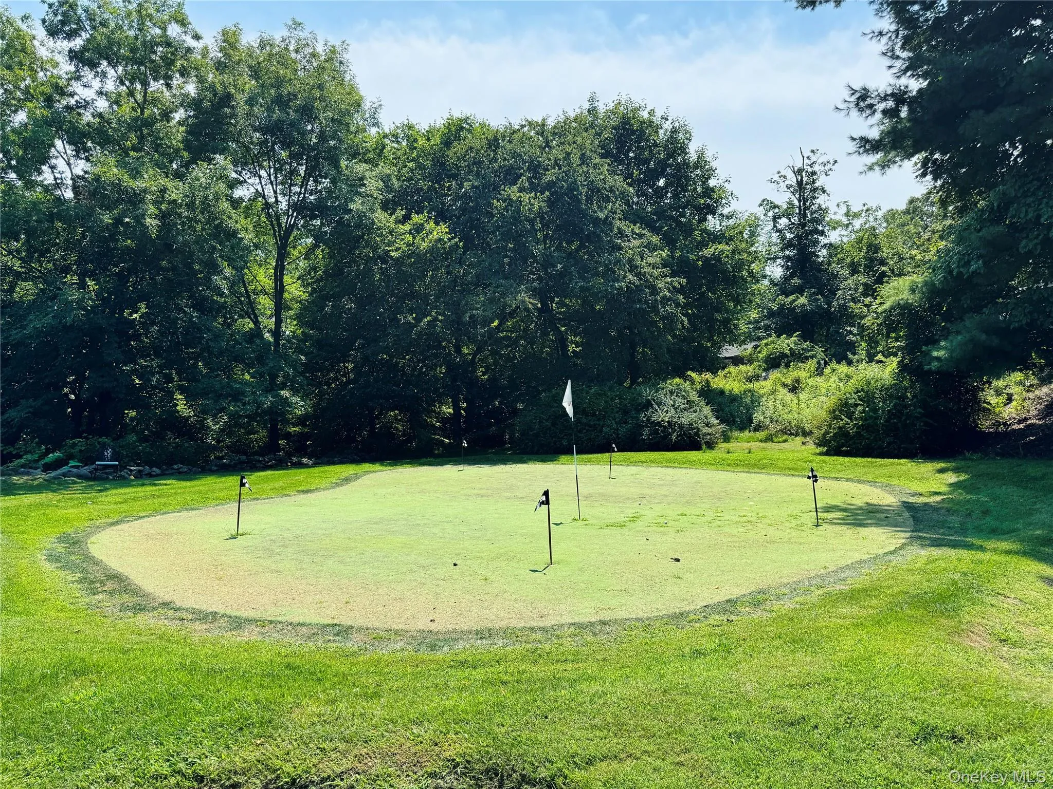 255 Mountain Road, Greenburgh, NY, 7 Bedrooms Bedrooms, 14 Rooms Rooms,5 BathroomsBathrooms,Residential,For Rent,Mountain,0,972976 255 Mountain Road, Greenburgh, NY, 7 Bedrooms Bedrooms, 14 Rooms Rooms,5 BathroomsBathrooms,Residential,For Rent,Mountain,0,972976