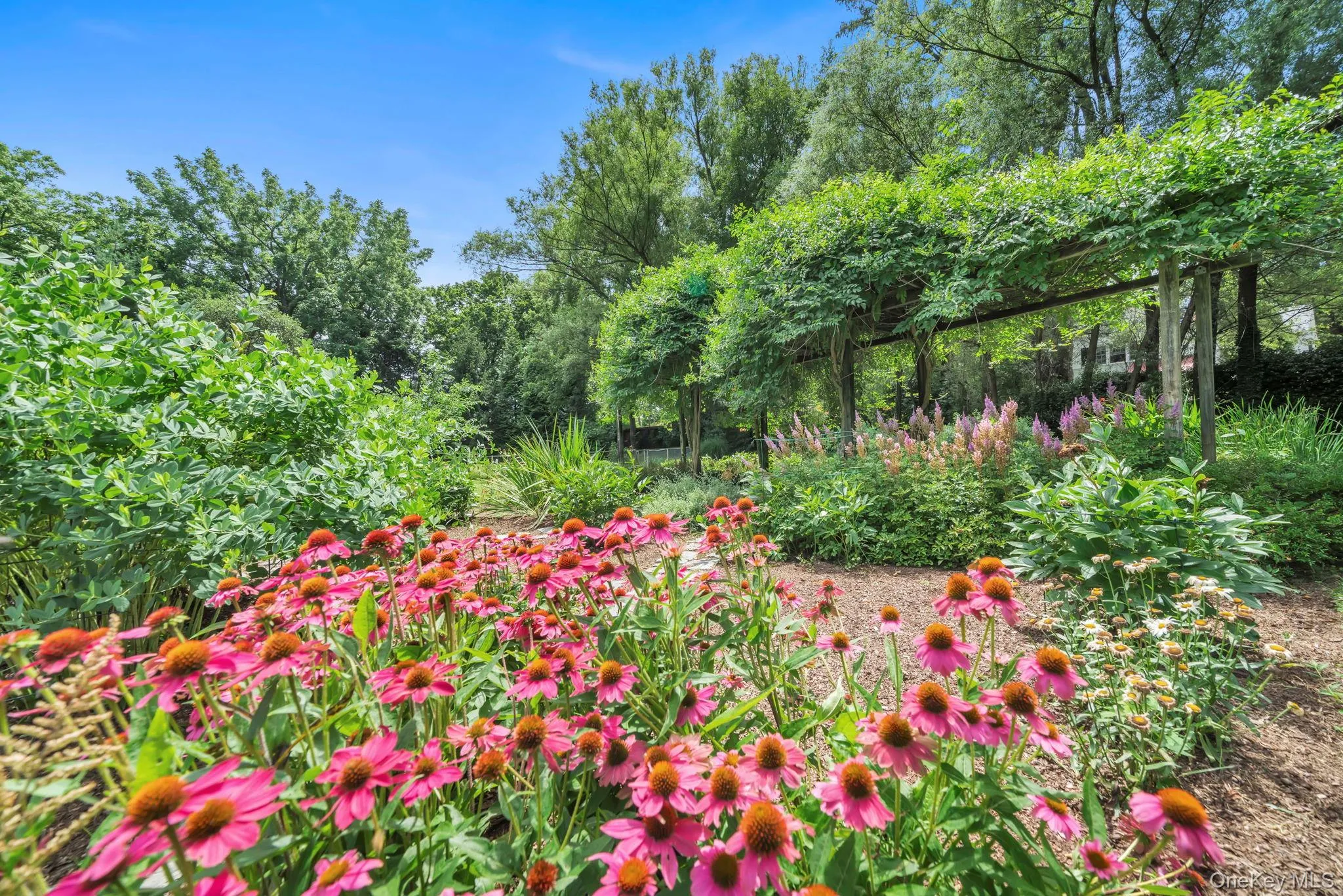 95 Piping Rock Road, Oyster Bay, NY, 7 Bedrooms Bedrooms, 20 Rooms Rooms,7 BathroomsBathrooms,Residential,For Rent,Piping Rock,0,973001 95 Piping Rock Road, Oyster Bay, NY, 7 Bedrooms Bedrooms, 20 Rooms Rooms,7 BathroomsBathrooms,Residential,For Rent,Piping Rock,0,973001