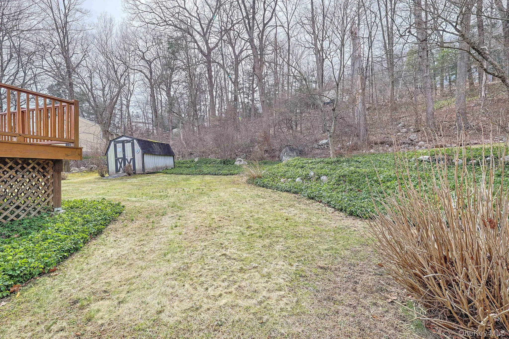 Backyard area Backyard area