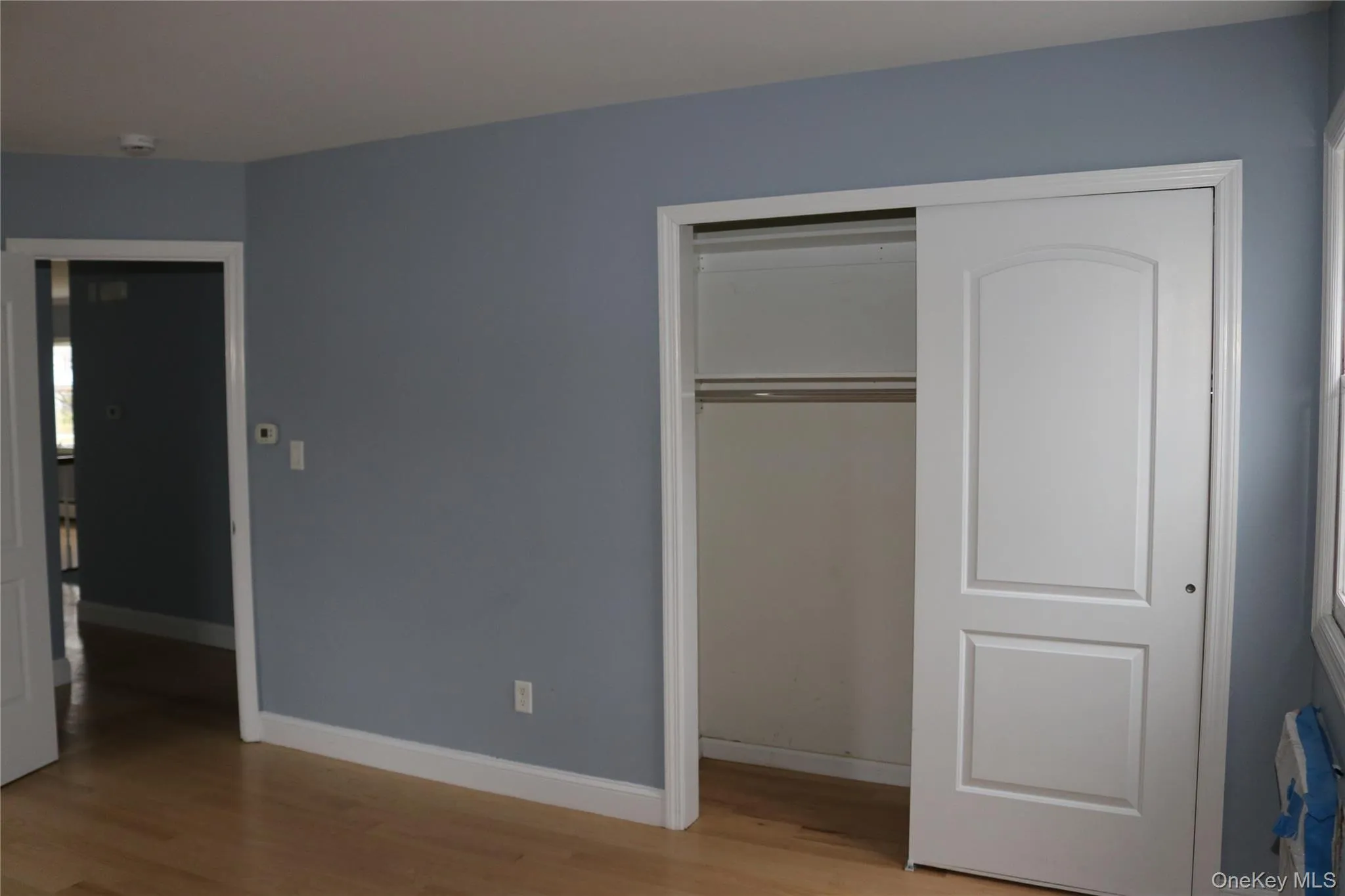 Master bedroom with a closet and light wood finished floors Master bedroom with a closet and light wood finished floors