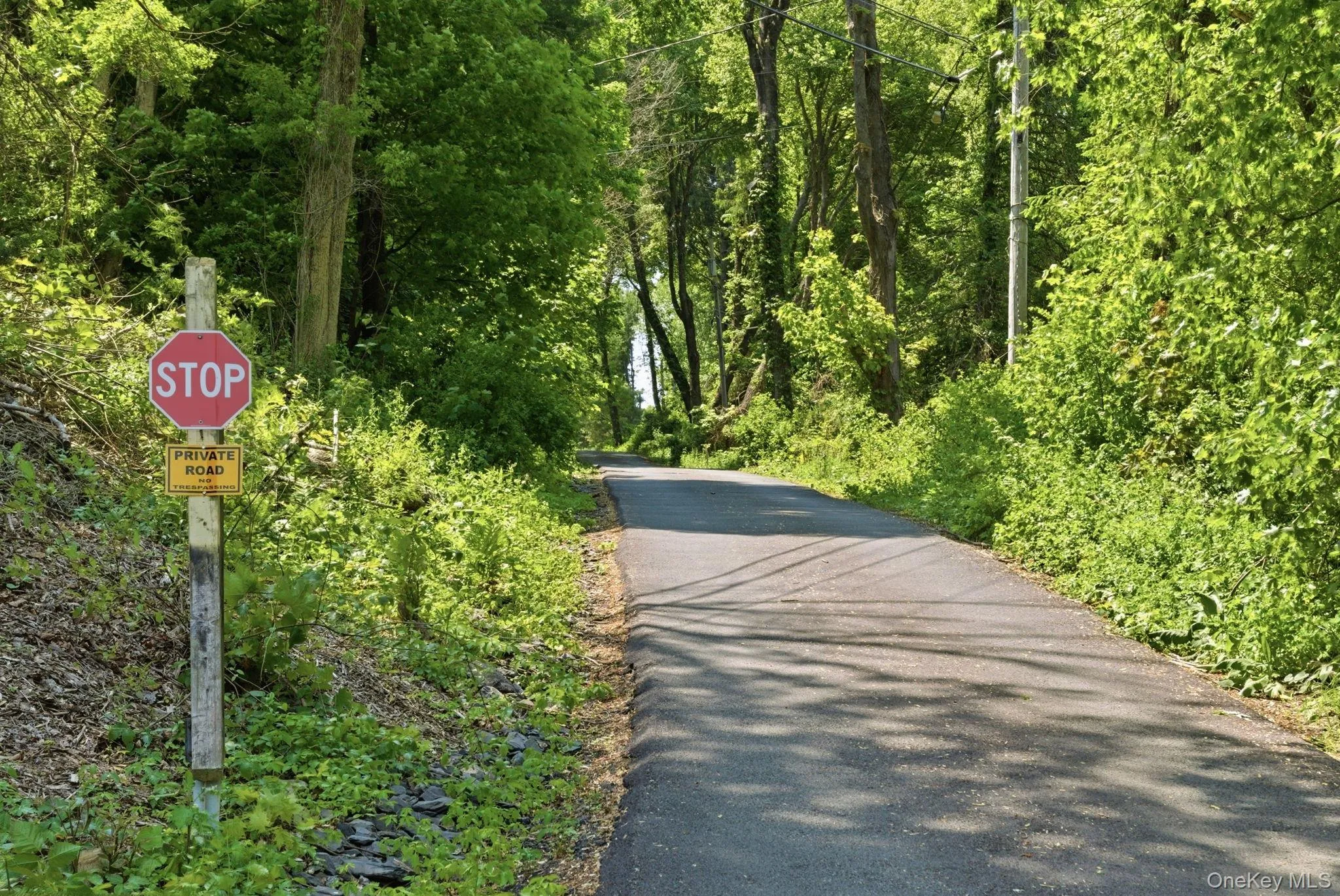 Set along a private road framed by trees, the approach to the home offers a true sense of seclusion from the moment you arrive. Set along a private road framed by trees, the approach to the home offers a true sense of seclusion from the moment you arrive.