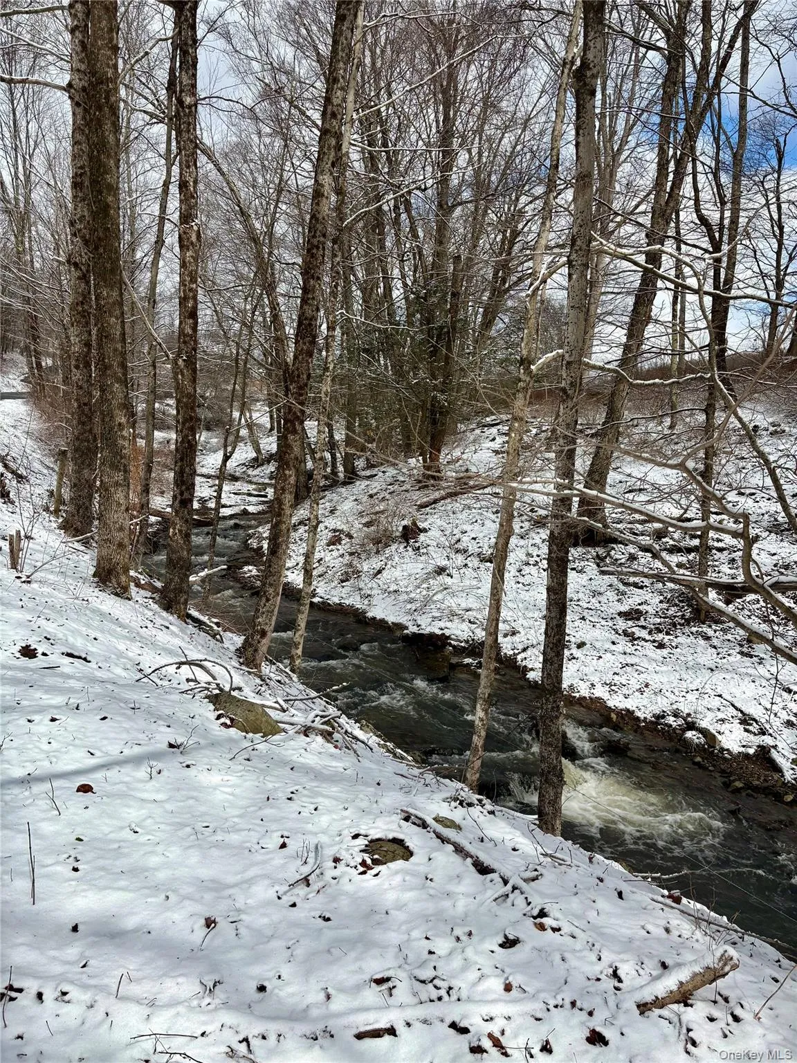 T R 28, Fremont, NY, ,Land,For Rent,T R 28,0,973341 T R 28, Fremont, NY, ,Land,For Rent,T R 28,0,973341
