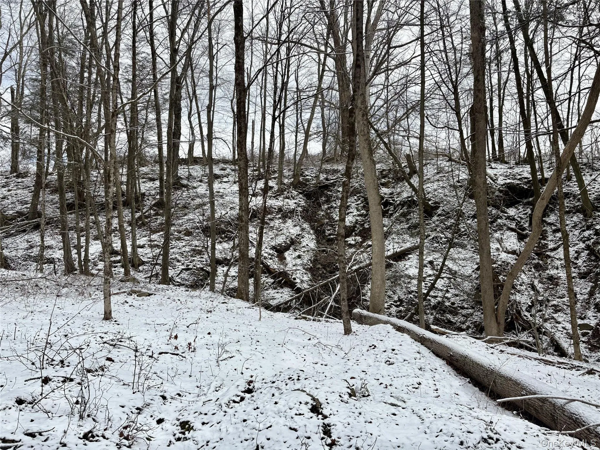 T R 28, Fremont, NY, ,Land,For Rent,T R 28,0,973341 T R 28, Fremont, NY, ,Land,For Rent,T R 28,0,973341