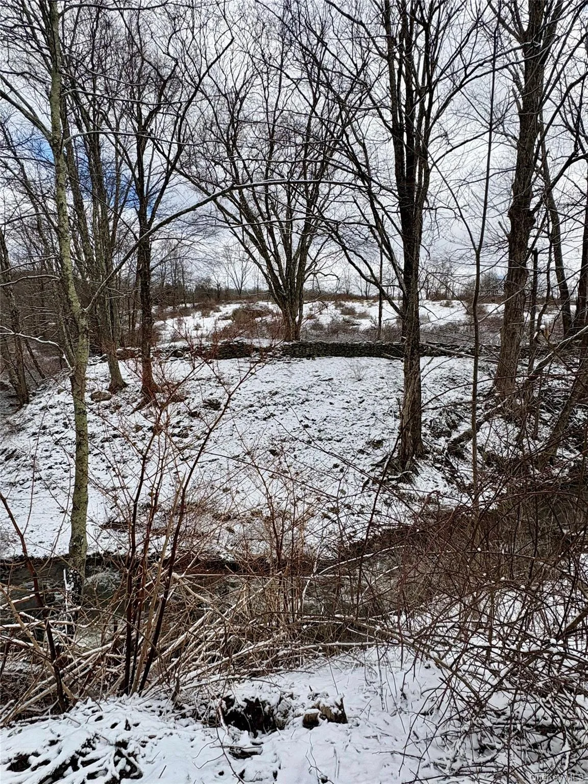 T R 28, Fremont, NY, ,Land,For Rent,T R 28,0,973341 T R 28, Fremont, NY, ,Land,For Rent,T R 28,0,973341