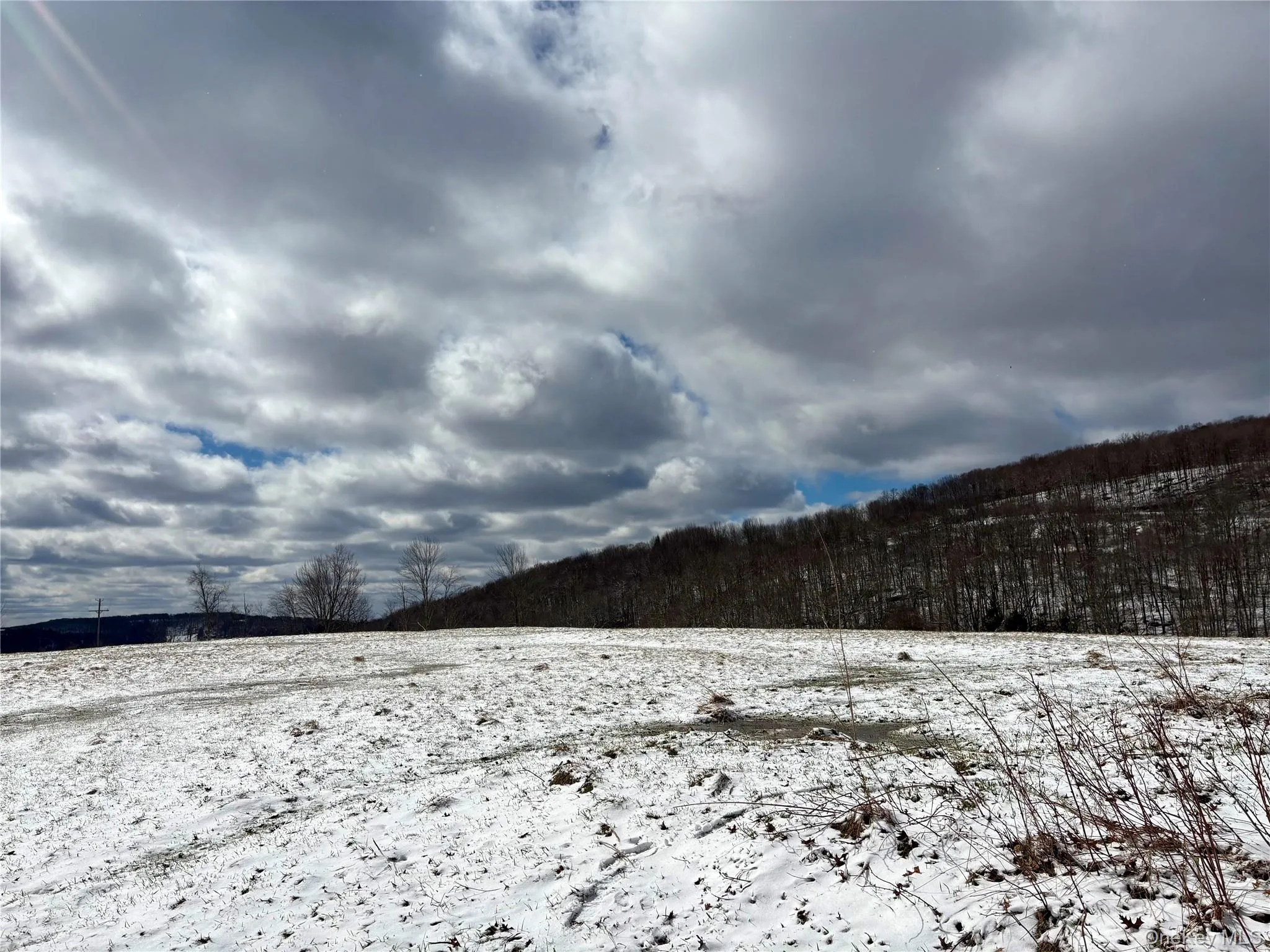 T R 28, Fremont, NY, ,Land,For Rent,T R 28,0,973341 T R 28, Fremont, NY, ,Land,For Rent,T R 28,0,973341