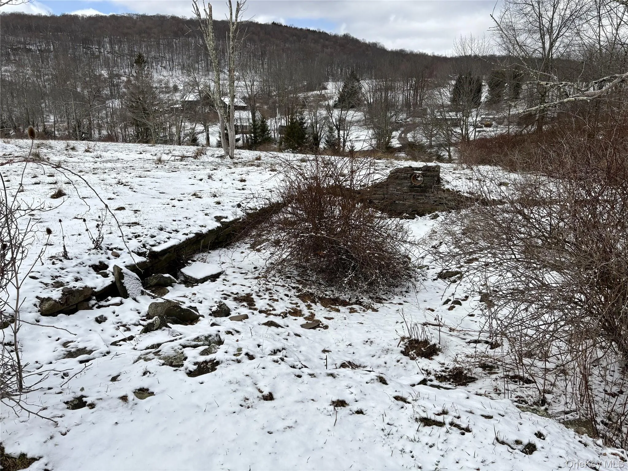T R 28, Fremont, NY, ,Land,For Rent,T R 28,0,973341 T R 28, Fremont, NY, ,Land,For Rent,T R 28,0,973341