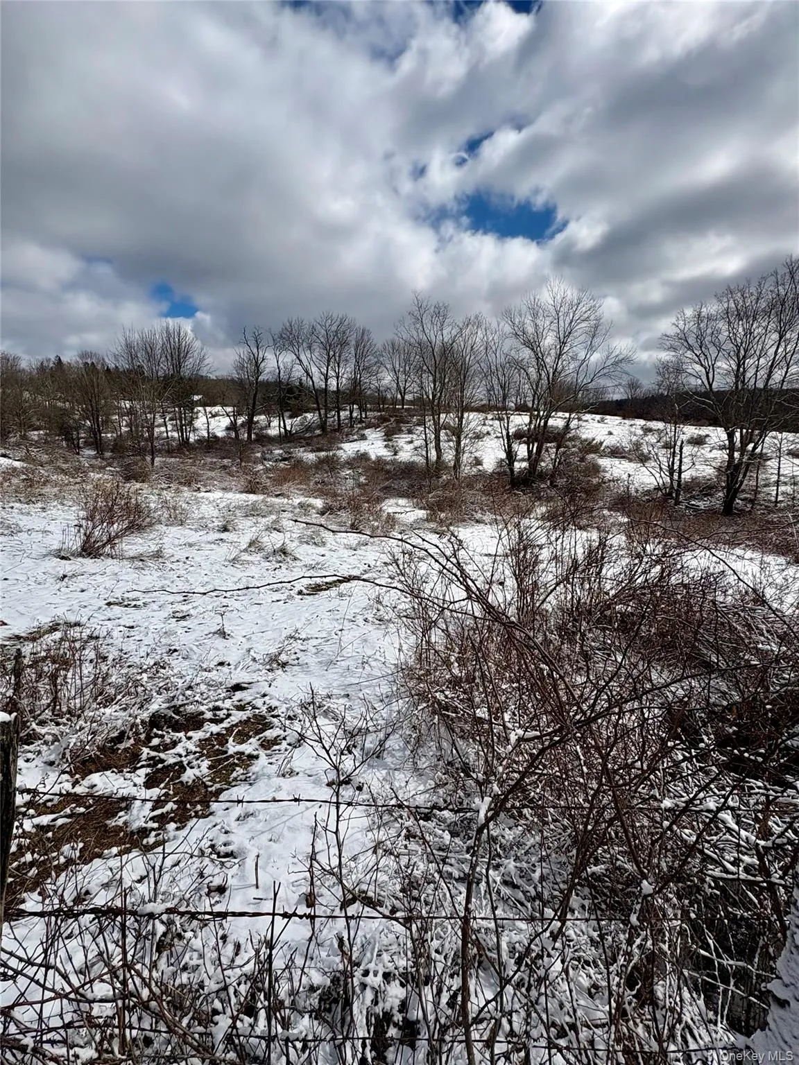 T R 28, Fremont, NY, ,Land,For Rent,T R 28,0,973341 T R 28, Fremont, NY, ,Land,For Rent,T R 28,0,973341
