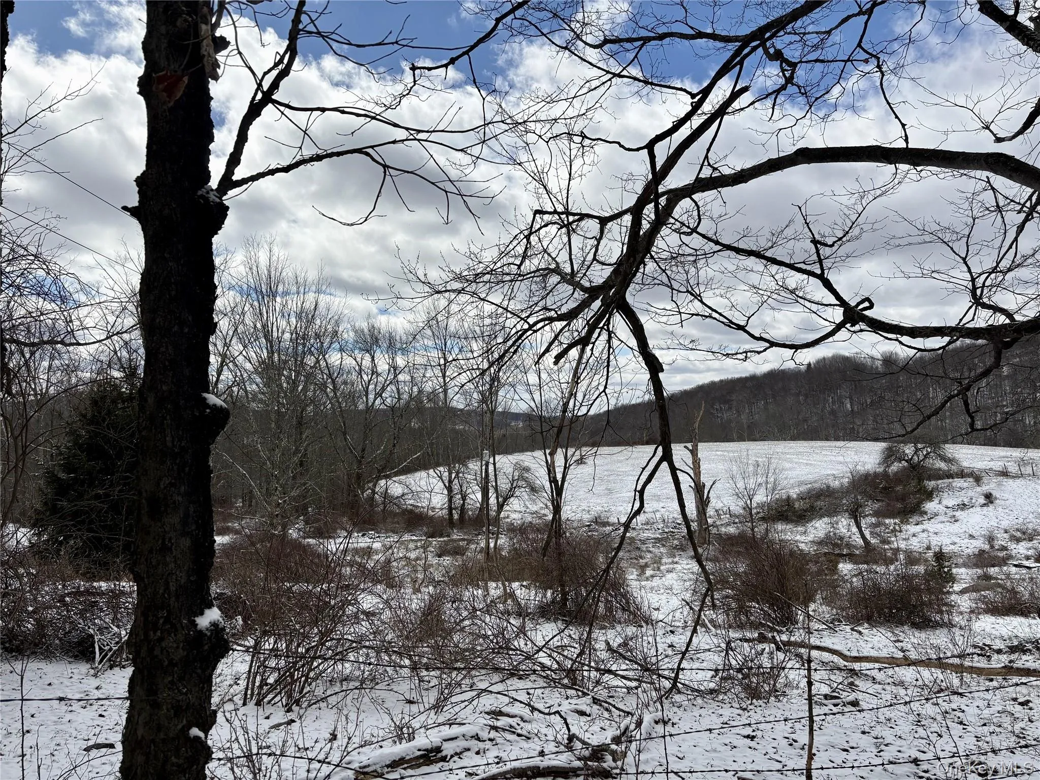 T R 28, Fremont, NY, ,Land,For Rent,T R 28,0,973341 T R 28, Fremont, NY, ,Land,For Rent,T R 28,0,973341