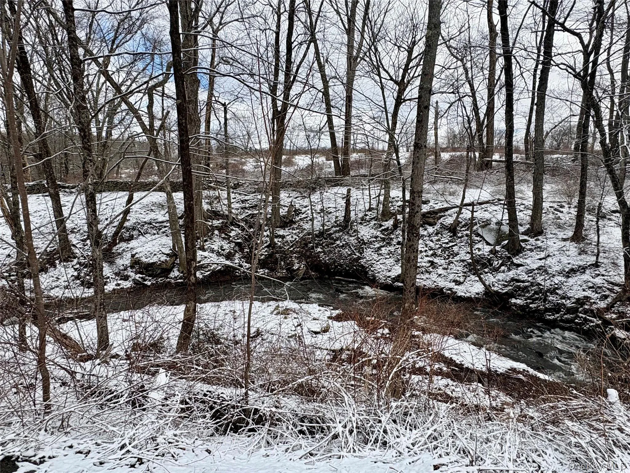 T R 28, Fremont, NY, ,Land,For Rent,T R 28,0,973341 T R 28, Fremont, NY, ,Land,For Rent,T R 28,0,973341
