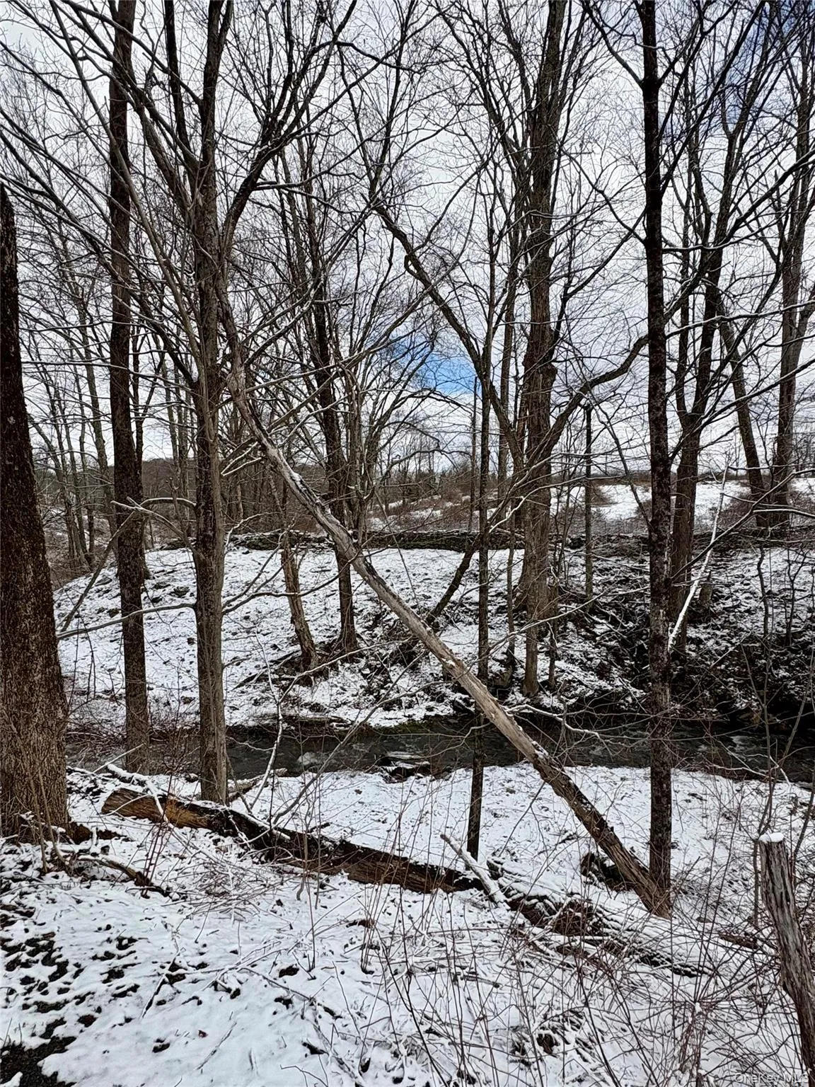 T R 28, Fremont, NY, ,Land,For Rent,T R 28,0,973341 T R 28, Fremont, NY, ,Land,For Rent,T R 28,0,973341