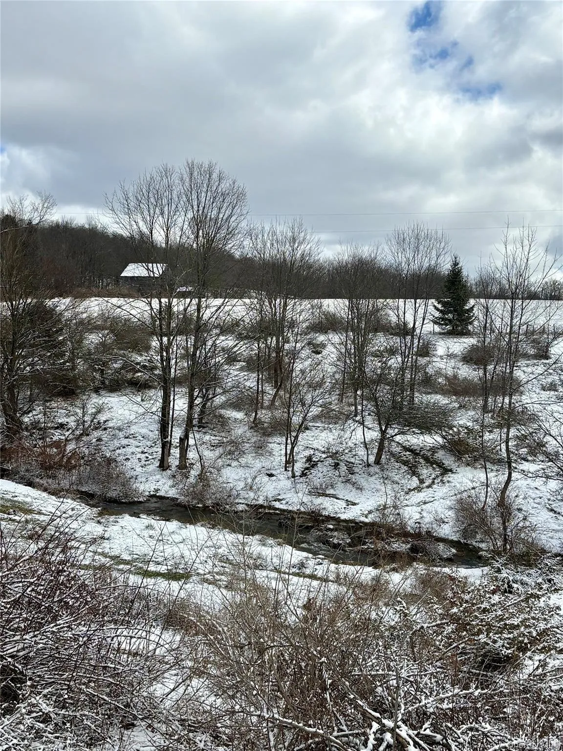T R 28, Fremont, NY, ,Land,For Rent,T R 28,0,973341 T R 28, Fremont, NY, ,Land,For Rent,T R 28,0,973341