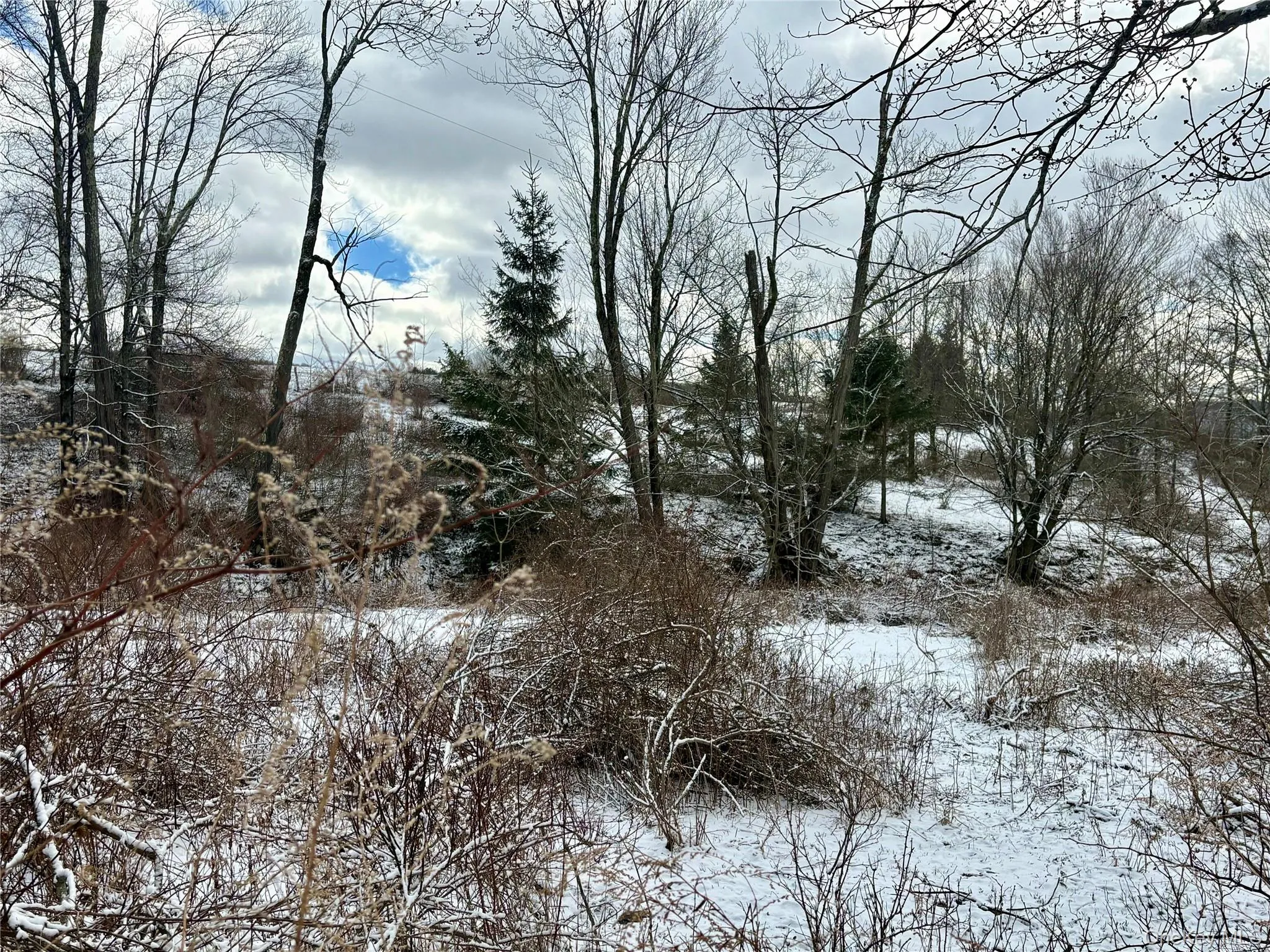 T R 28, Fremont, NY, ,Land,For Rent,T R 28,0,973341 T R 28, Fremont, NY, ,Land,For Rent,T R 28,0,973341