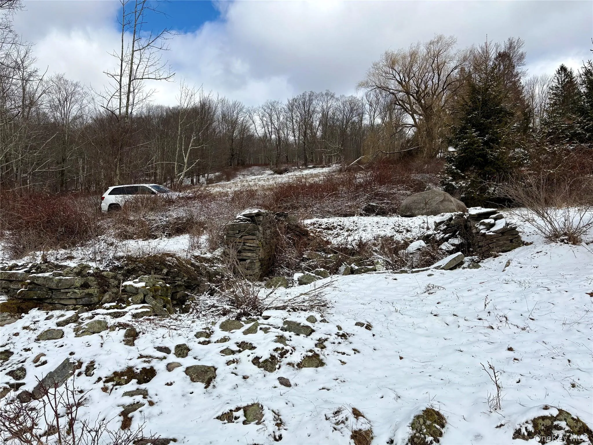 T R 28, Fremont, NY, ,Land,For Rent,T R 28,0,973341 T R 28, Fremont, NY, ,Land,For Rent,T R 28,0,973341