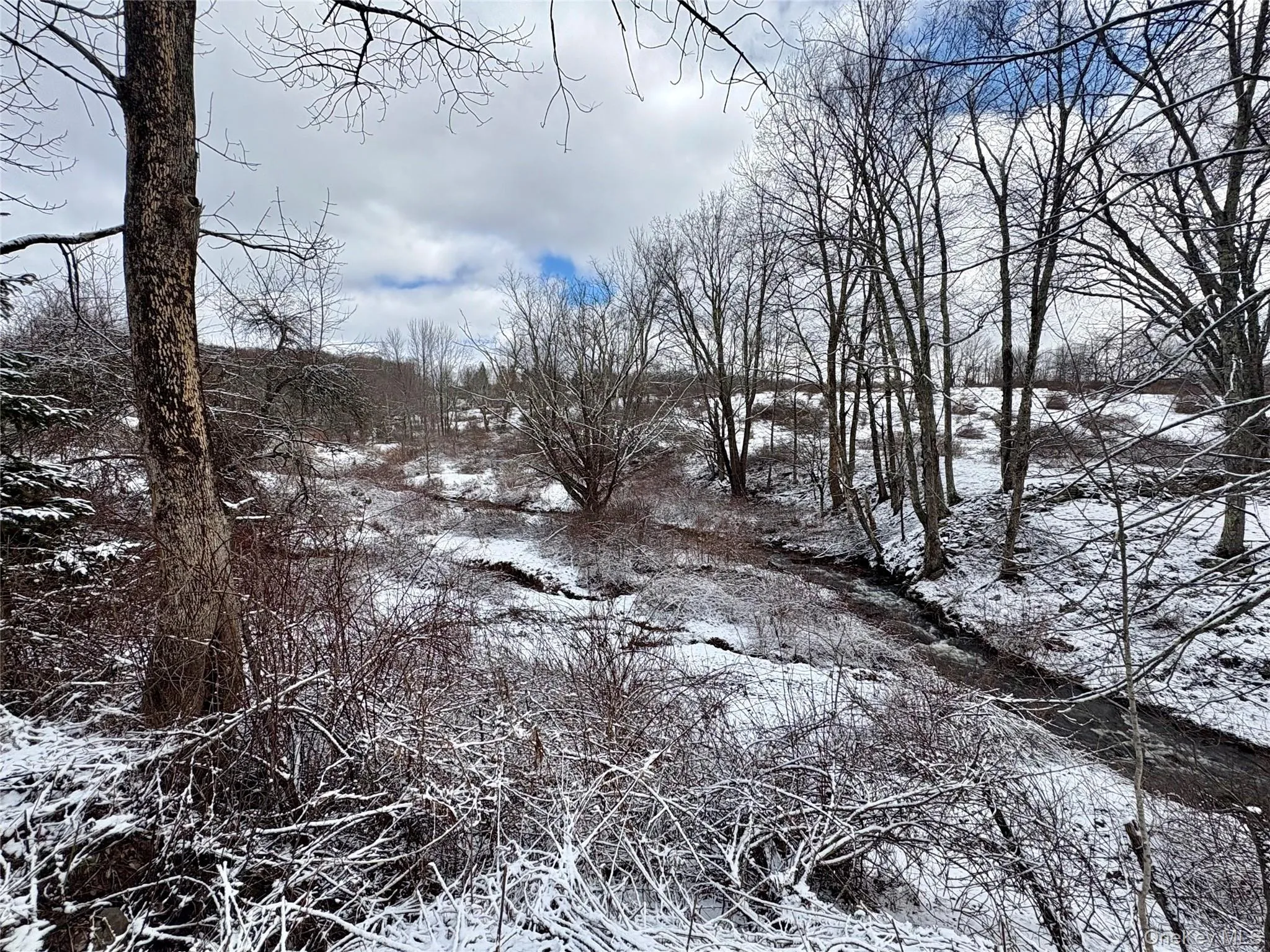 T R 28, Fremont, NY, ,Land,For Rent,T R 28,0,973341 T R 28, Fremont, NY, ,Land,For Rent,T R 28,0,973341