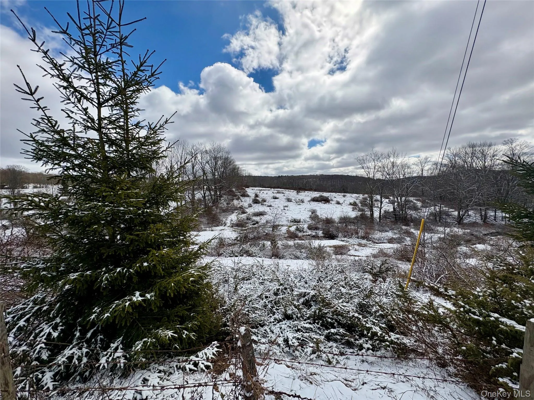 T R 28, Fremont, NY, ,Land,For Rent,T R 28,0,973341 T R 28, Fremont, NY, ,Land,For Rent,T R 28,0,973341