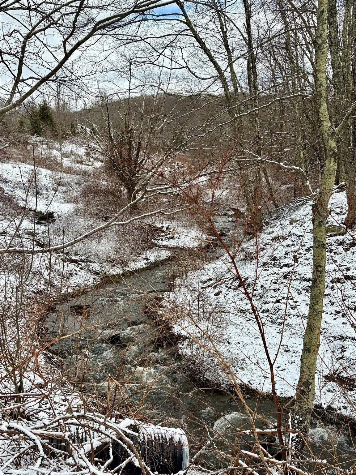 T R 28, Fremont, NY, ,Land,For Rent,T R 28,0,973341 T R 28, Fremont, NY, ,Land,For Rent,T R 28,0,973341