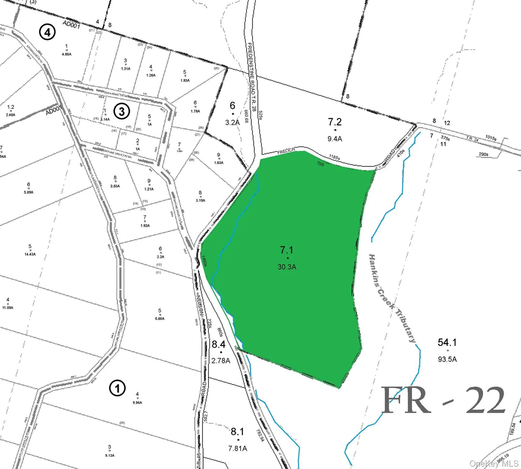 T R 28, Fremont, NY, ,Land,For Rent,T R 28,0,973341 T R 28, Fremont, NY, ,Land,For Rent,T R 28,0,973341