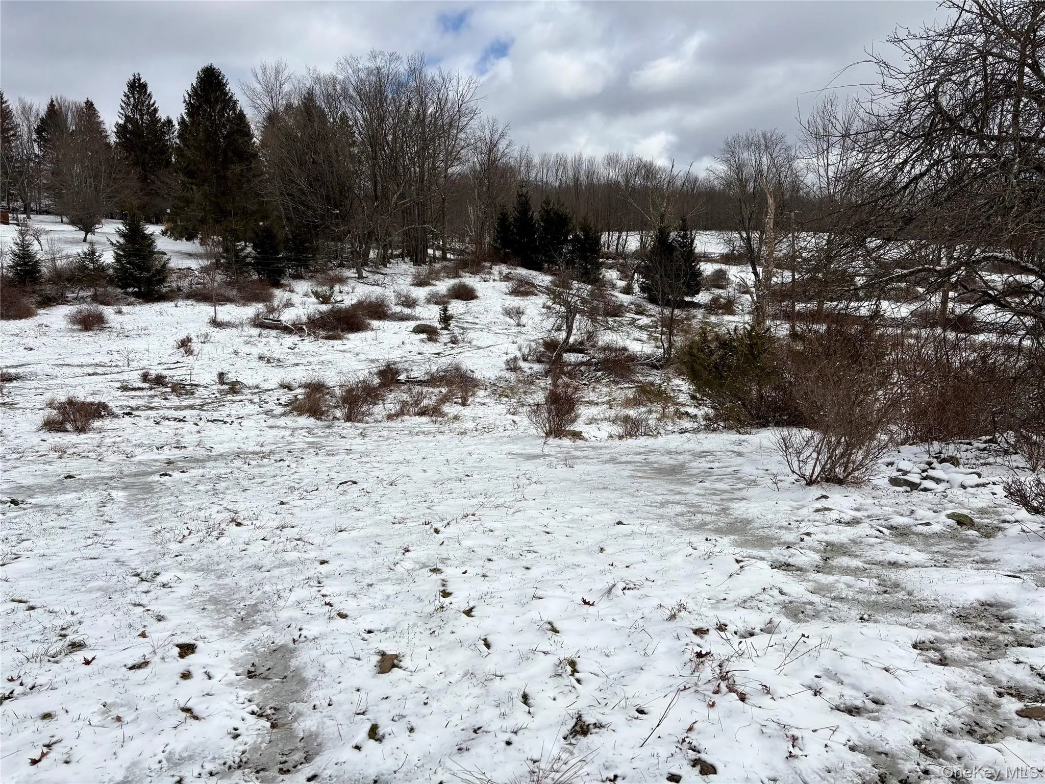 T R 28, Fremont, NY, ,Land,For Rent,T R 28,0,973341 T R 28, Fremont, NY, ,Land,For Rent,T R 28,0,973341