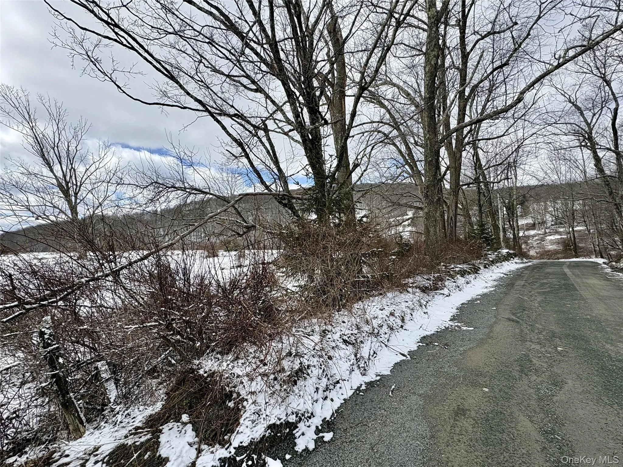 T R 28, Fremont, NY, ,Land,For Rent,T R 28,0,973341 T R 28, Fremont, NY, ,Land,For Rent,T R 28,0,973341