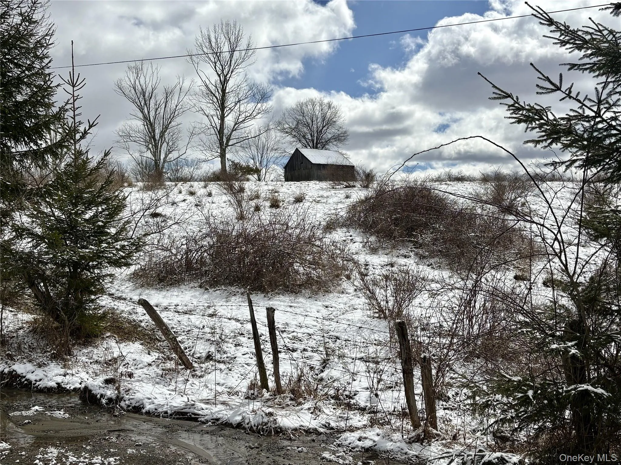 T R 28, Fremont, NY, ,Land,For Rent,T R 28,0,973341 T R 28, Fremont, NY, ,Land,For Rent,T R 28,0,973341