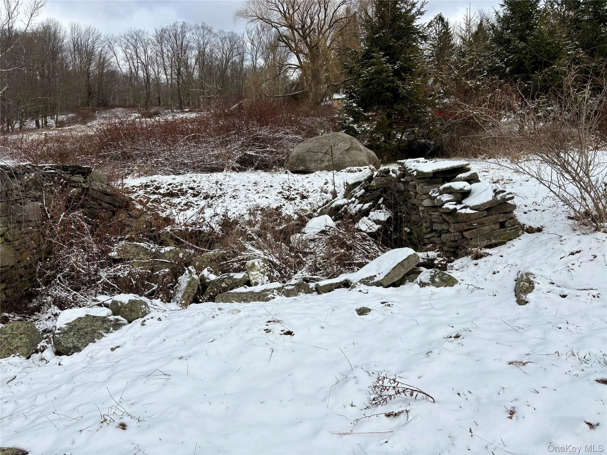T R 28, Fremont, NY, ,Land,For Rent,T R 28,0,973341 T R 28, Fremont, NY, ,Land,For Rent,T R 28,0,973341