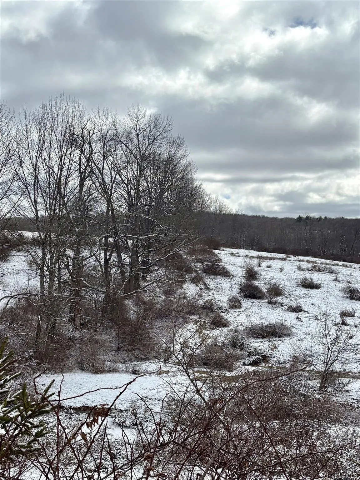 T R 28, Fremont, NY, ,Land,For Rent,T R 28,0,973341 T R 28, Fremont, NY, ,Land,For Rent,T R 28,0,973341