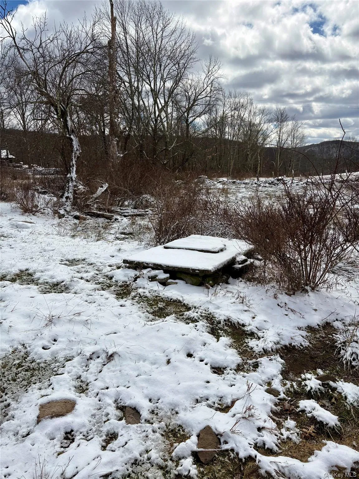 T R 28, Fremont, NY, ,Land,For Rent,T R 28,0,973341 T R 28, Fremont, NY, ,Land,For Rent,T R 28,0,973341