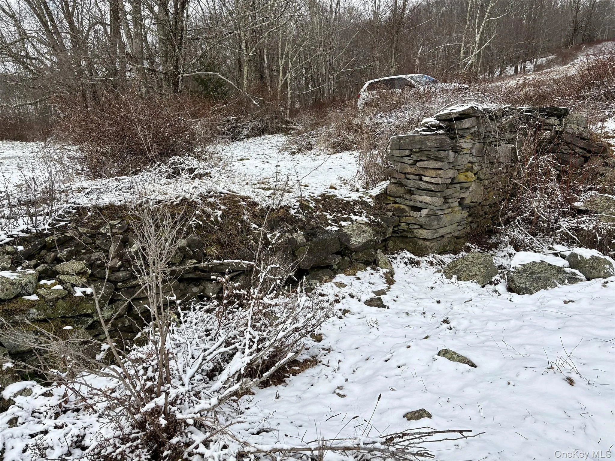 T R 28, Fremont, NY, ,Land,For Rent,T R 28,0,973341 T R 28, Fremont, NY, ,Land,For Rent,T R 28,0,973341