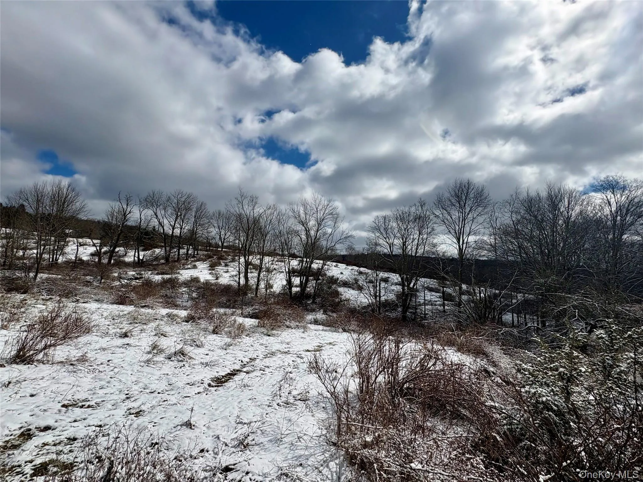 T R 28, Fremont, NY, ,Land,For Rent,T R 28,0,973341 T R 28, Fremont, NY, ,Land,For Rent,T R 28,0,973341