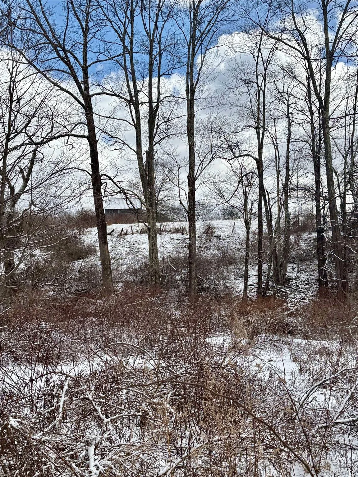 T R 28, Fremont, NY, ,Land,For Rent,T R 28,0,973341 T R 28, Fremont, NY, ,Land,For Rent,T R 28,0,973341