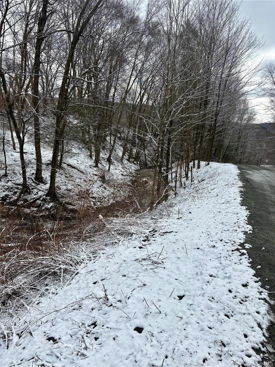 T R 28, Fremont, NY, ,Land,For Rent,T R 28,0,973341 T R 28, Fremont, NY, ,Land,For Rent,T R 28,0,973341