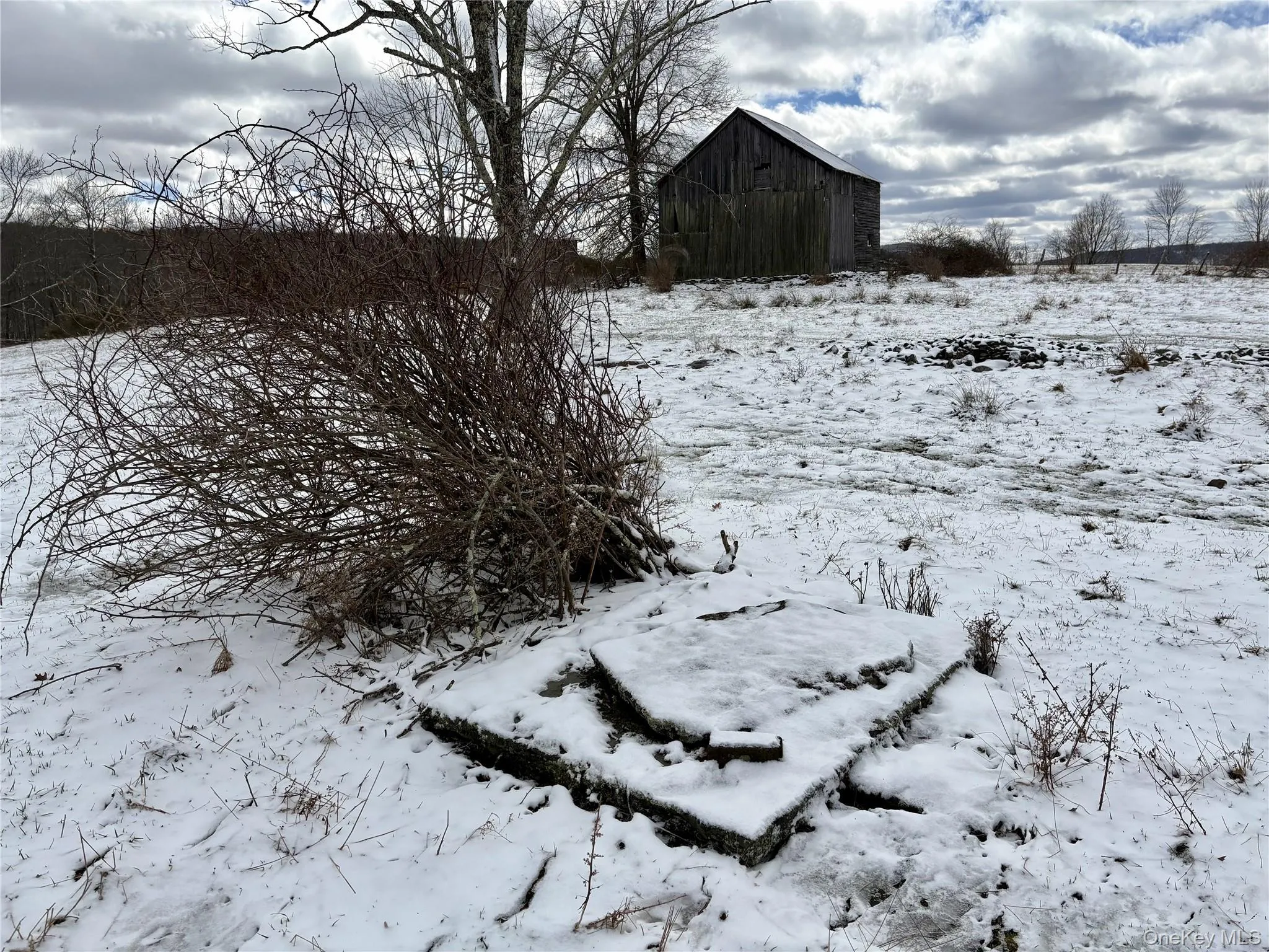 T R 28, Fremont, NY, ,Land,For Rent,T R 28,0,973341 T R 28, Fremont, NY, ,Land,For Rent,T R 28,0,973341