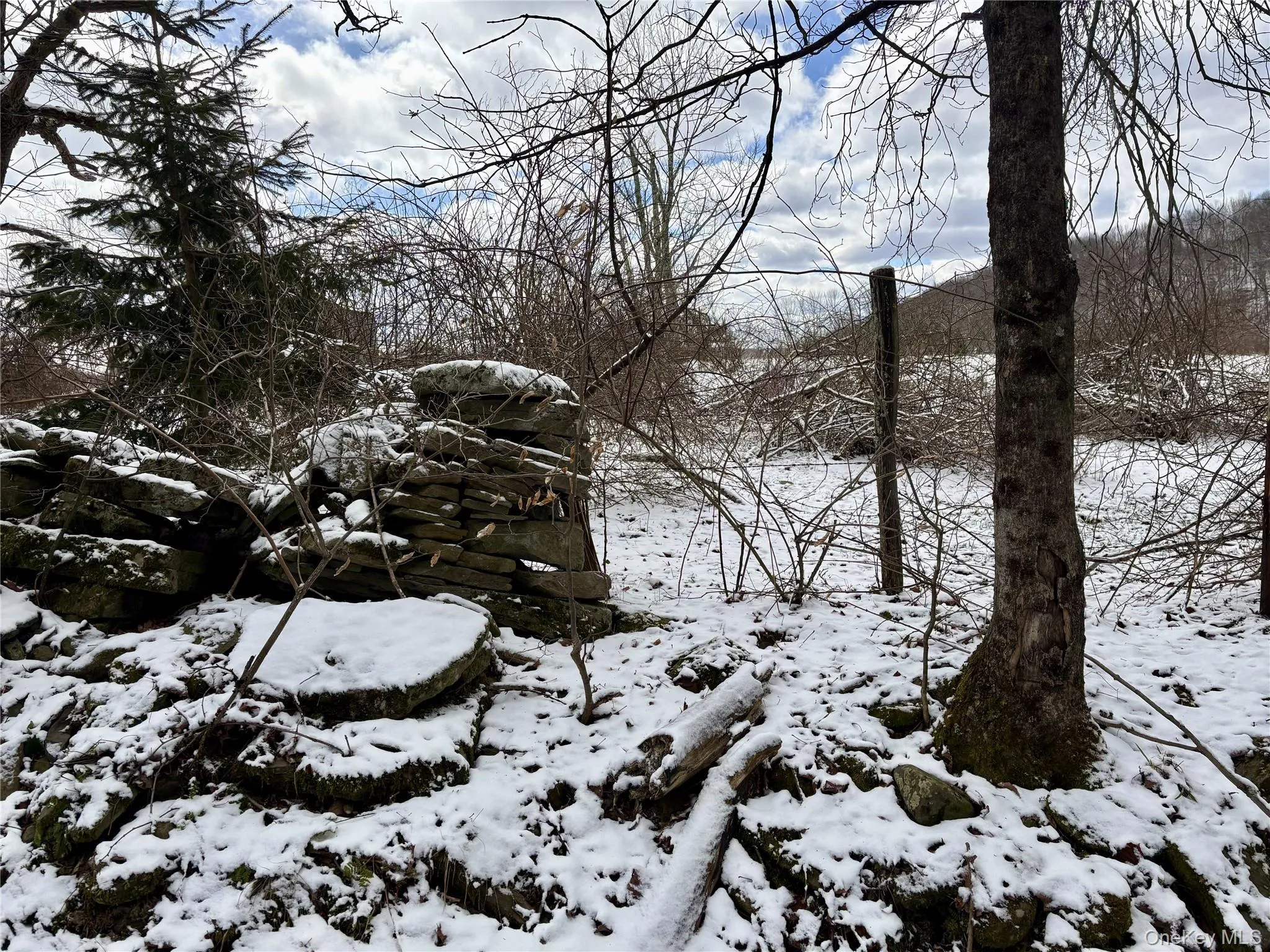 T R 28, Fremont, NY, ,Land,For Rent,T R 28,0,973341 T R 28, Fremont, NY, ,Land,For Rent,T R 28,0,973341