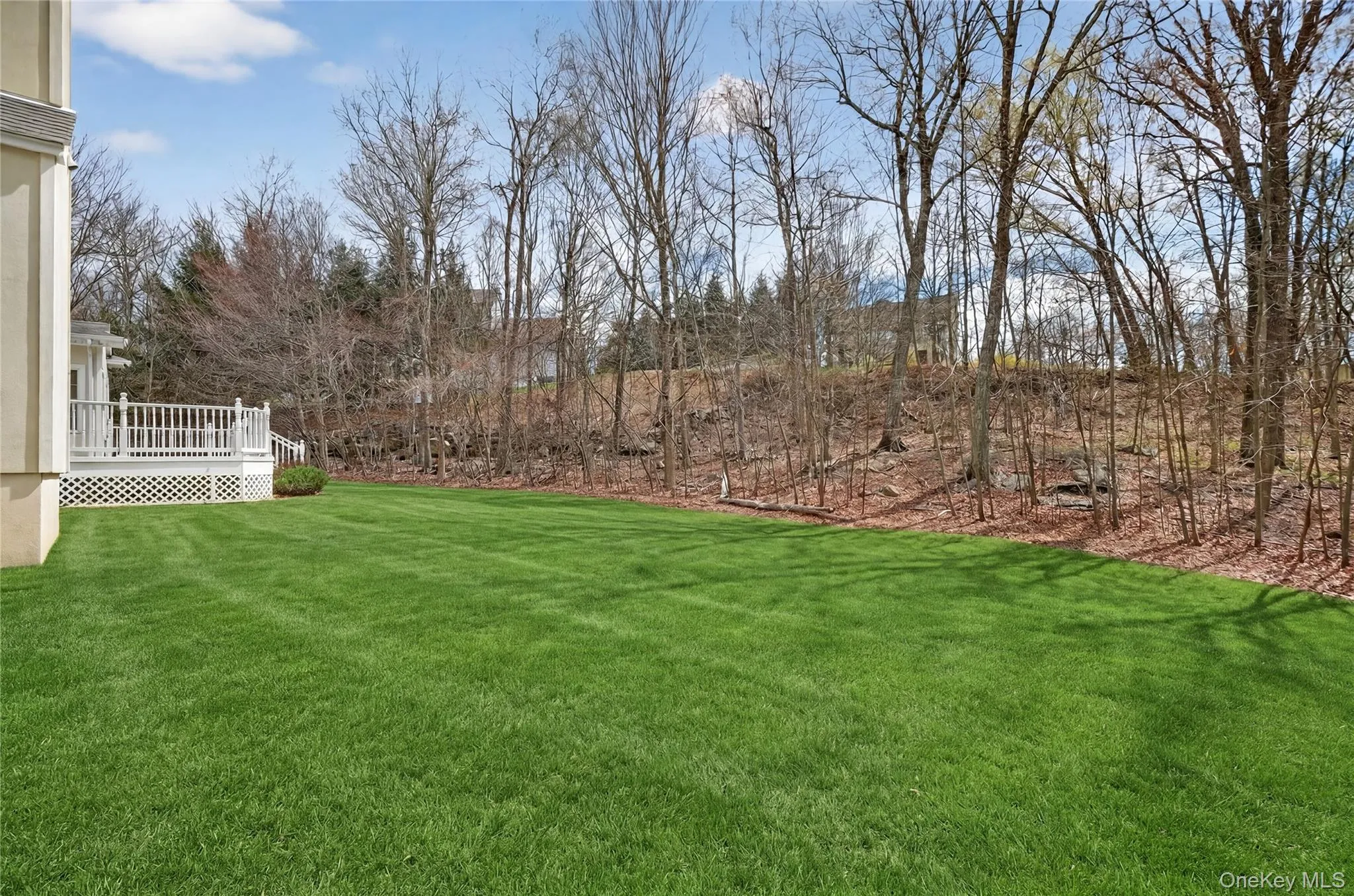 Rear yard Rear yard