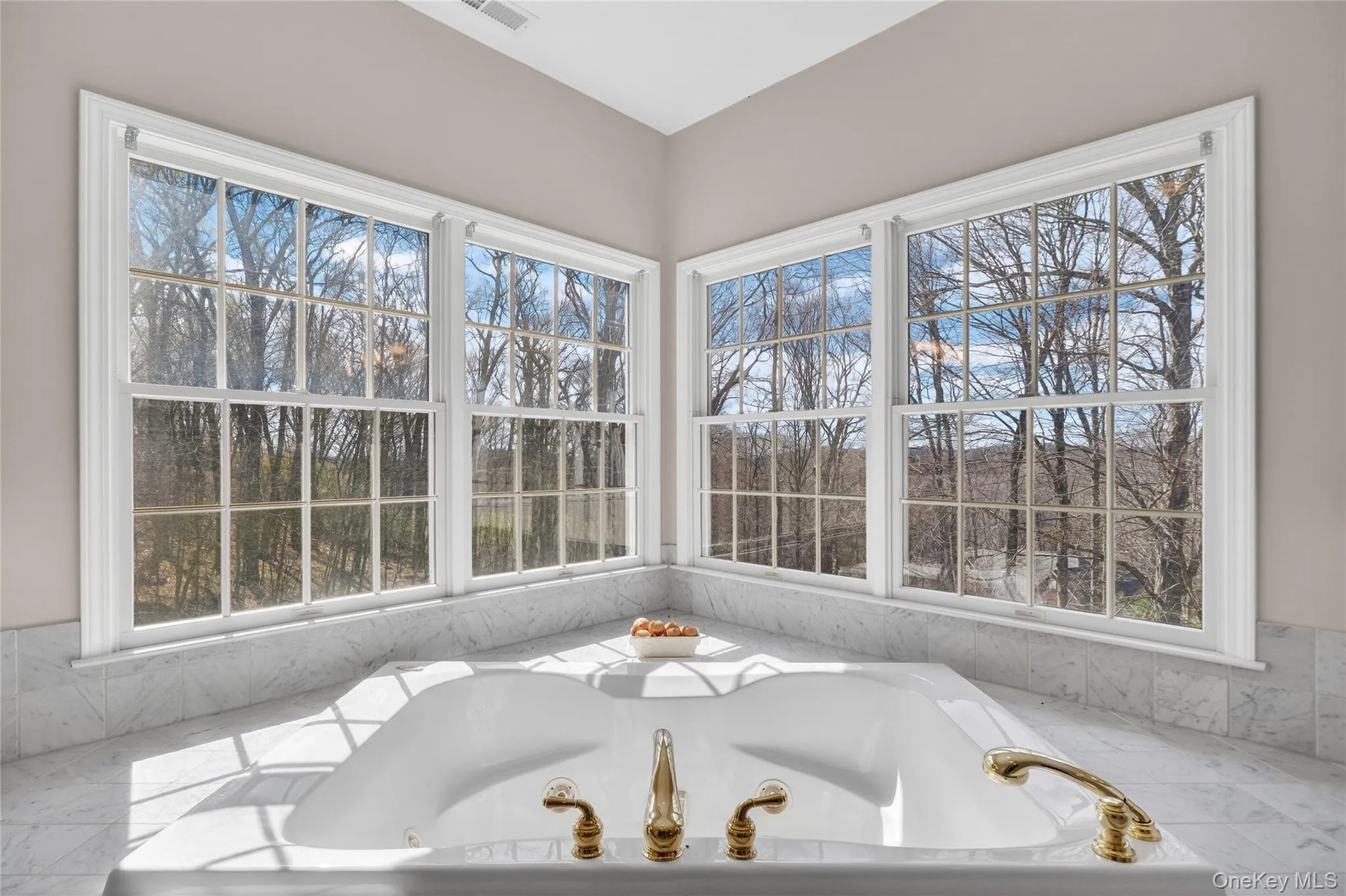Natural light enters the primary bathroom through the beautiful corner windows. Natural light enters the primary bathroom through the beautiful corner windows.
