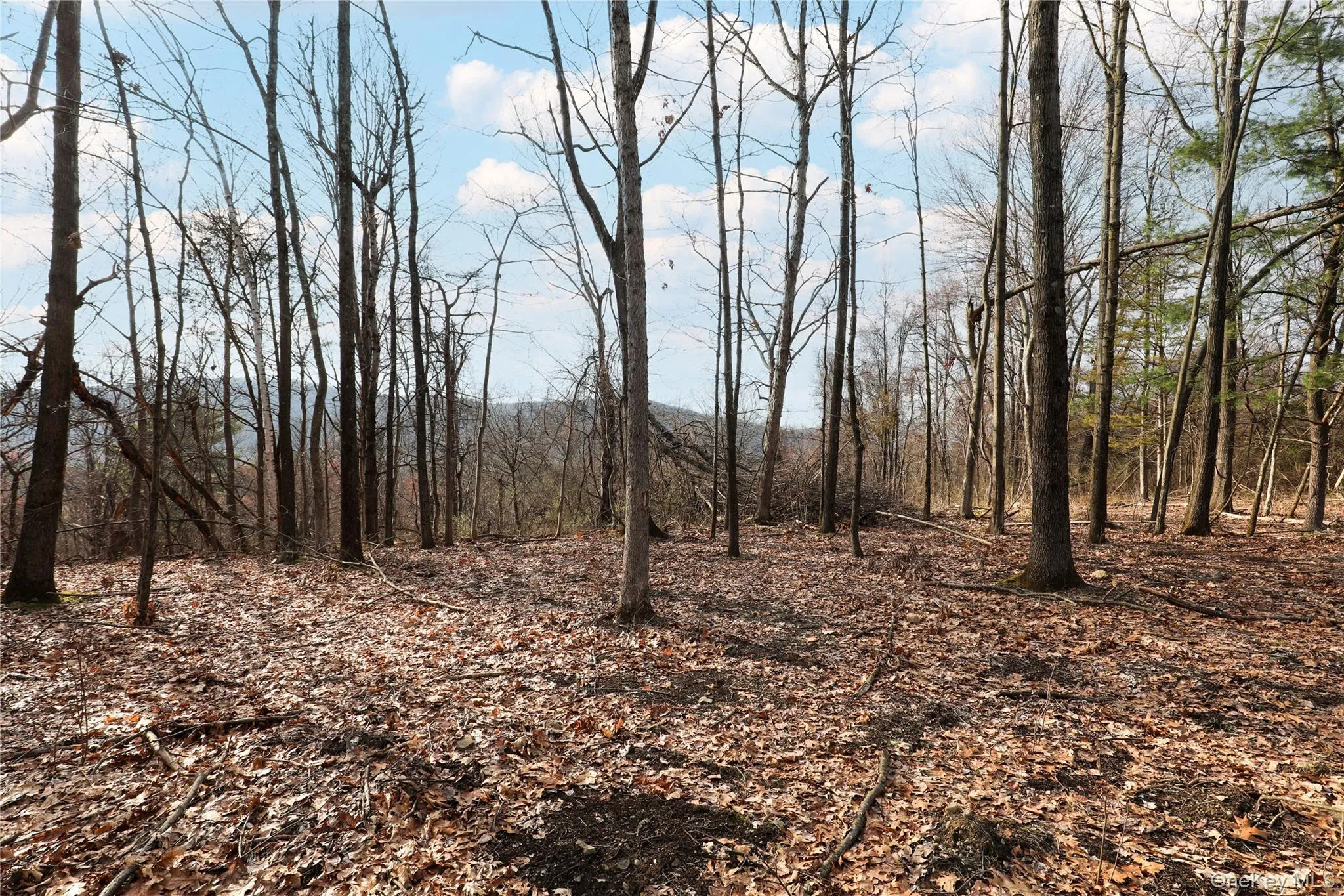 625 Broadway, Esopus, NY, ,Land,For Rent,Broadway,0,973424 625 Broadway, Esopus, NY, ,Land,For Rent,Broadway,0,973424