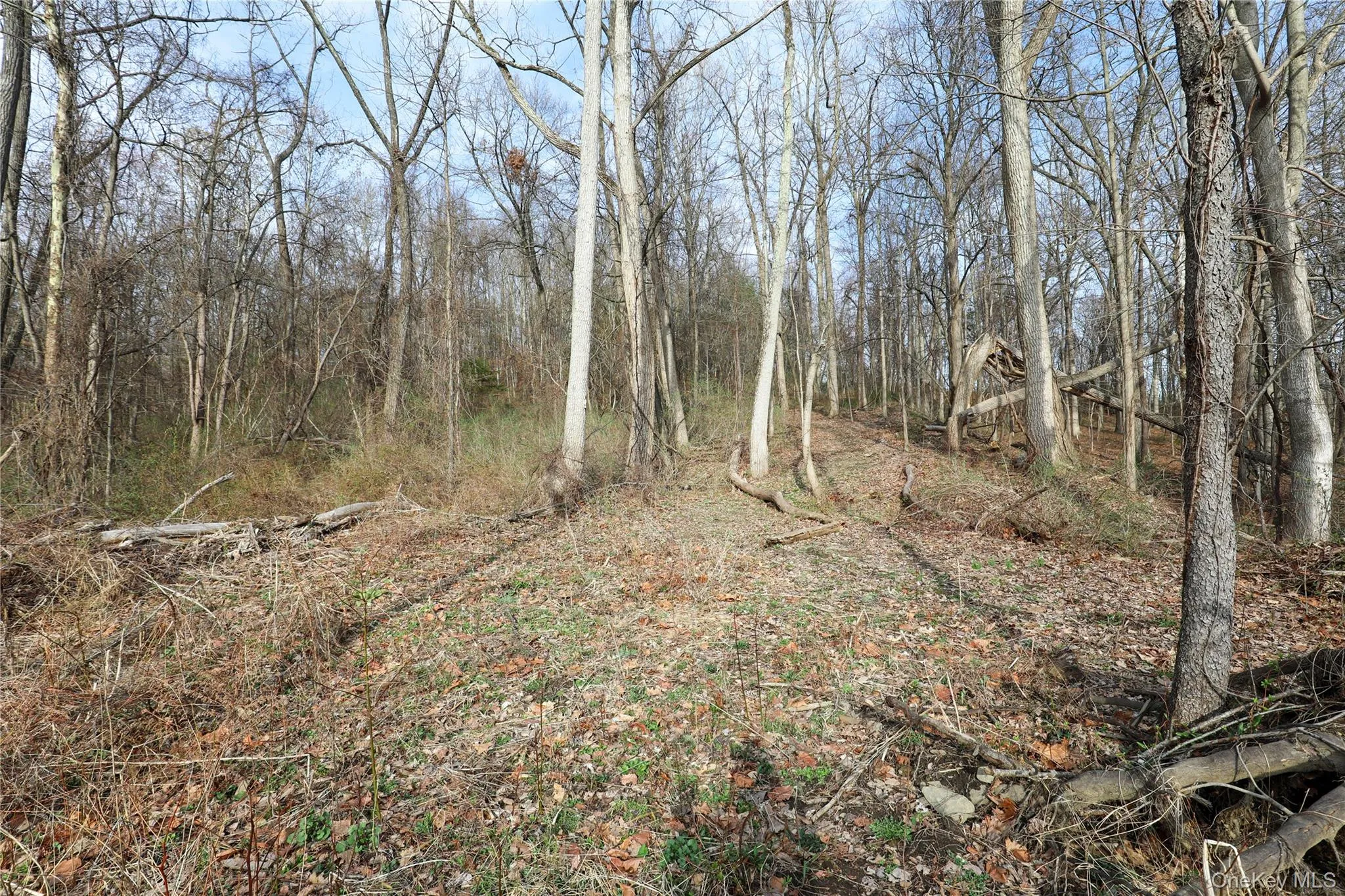 625 Broadway, Esopus, NY, ,Land,For Rent,Broadway,0,973424 625 Broadway, Esopus, NY, ,Land,For Rent,Broadway,0,973424