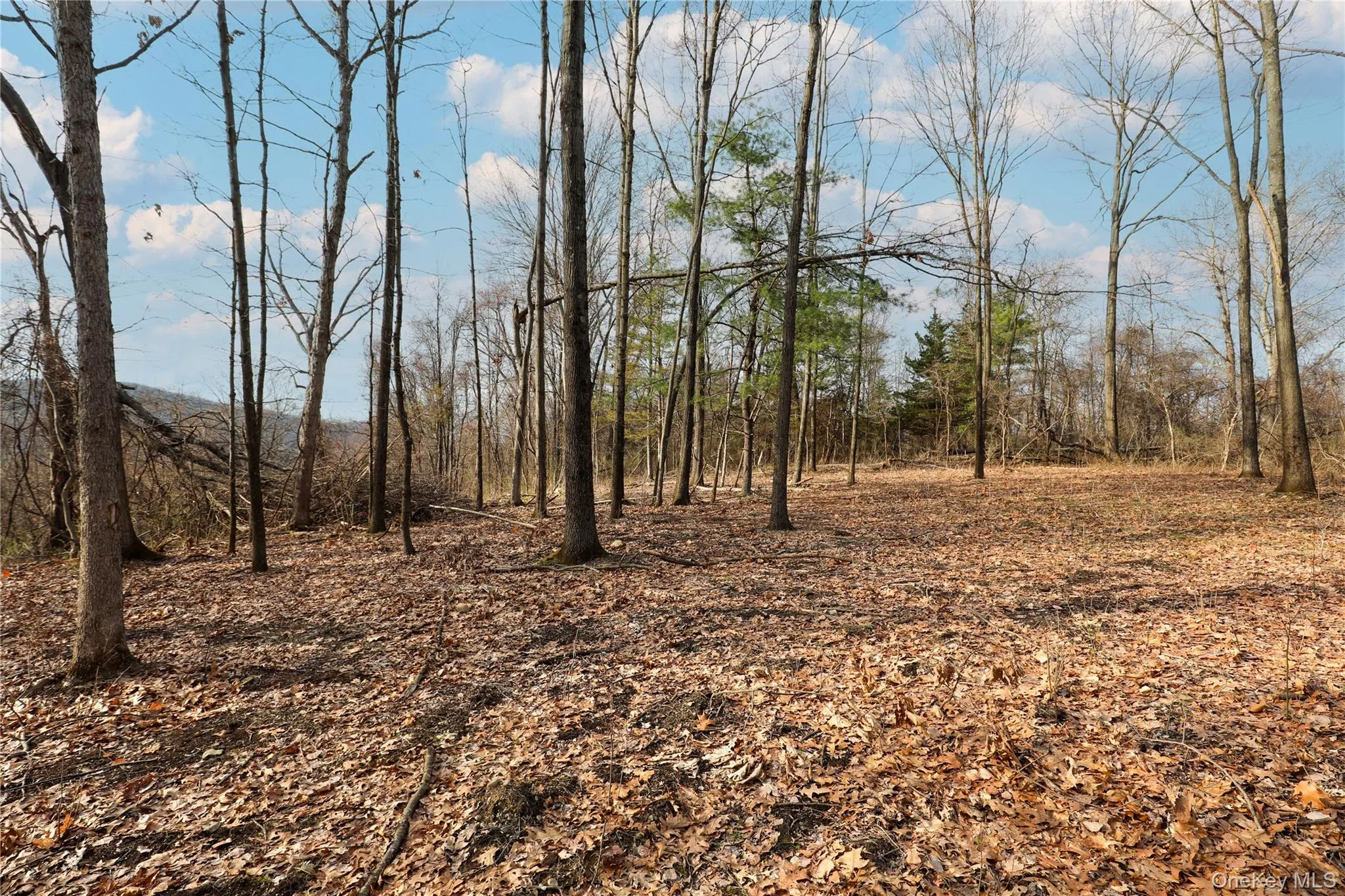 625 Broadway, Esopus, NY, ,Land,For Rent,Broadway,0,973424 625 Broadway, Esopus, NY, ,Land,For Rent,Broadway,0,973424