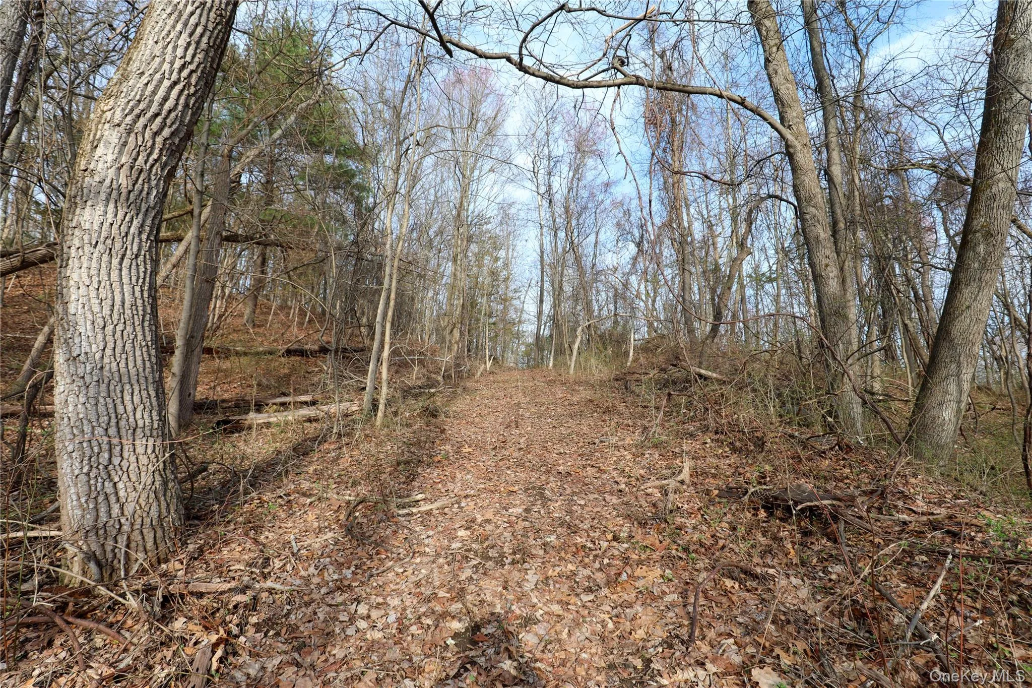 625 Broadway, Esopus, NY, ,Land,For Rent,Broadway,0,973424 625 Broadway, Esopus, NY, ,Land,For Rent,Broadway,0,973424