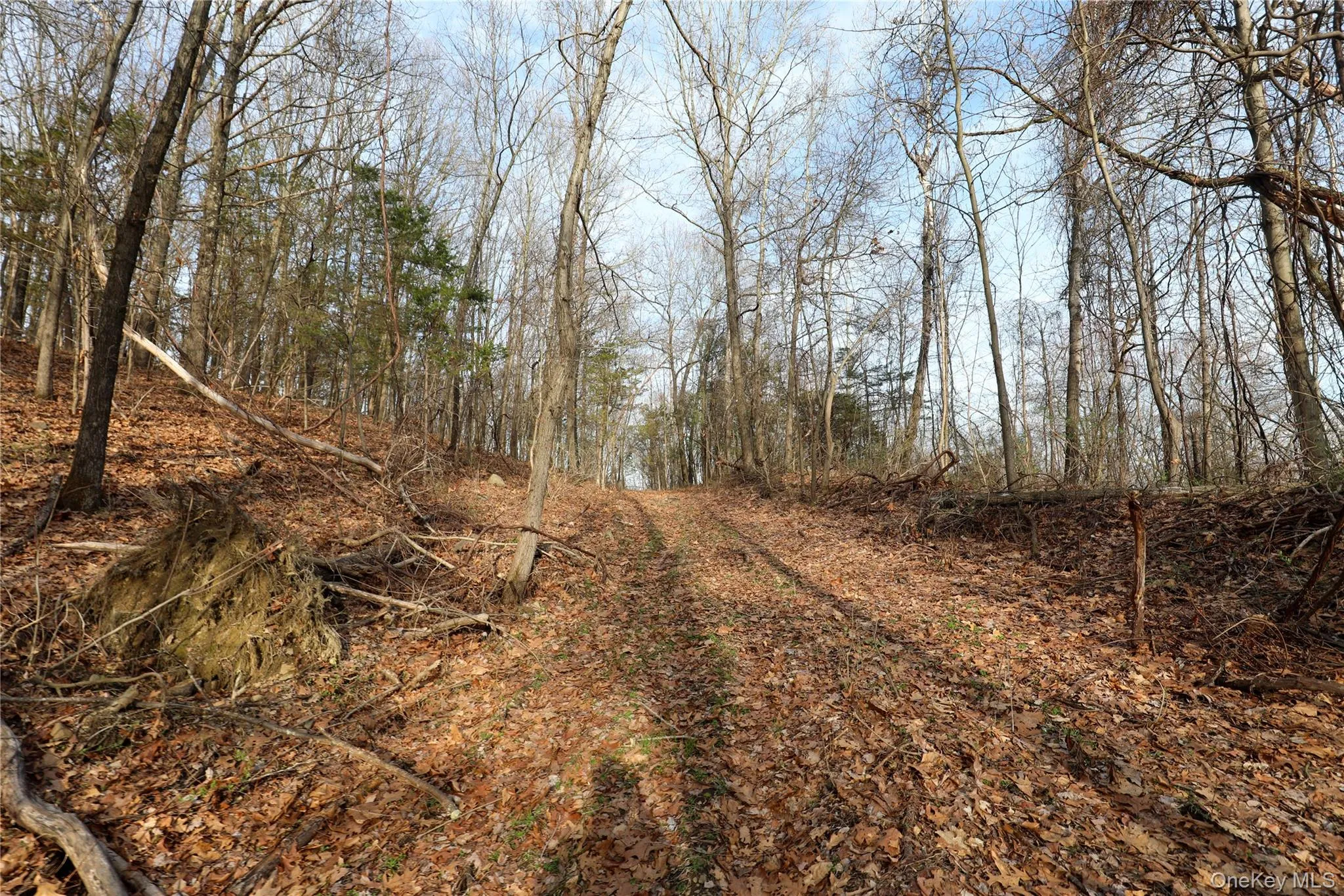 625 Broadway, Esopus, NY, ,Land,For Rent,Broadway,0,973424 625 Broadway, Esopus, NY, ,Land,For Rent,Broadway,0,973424
