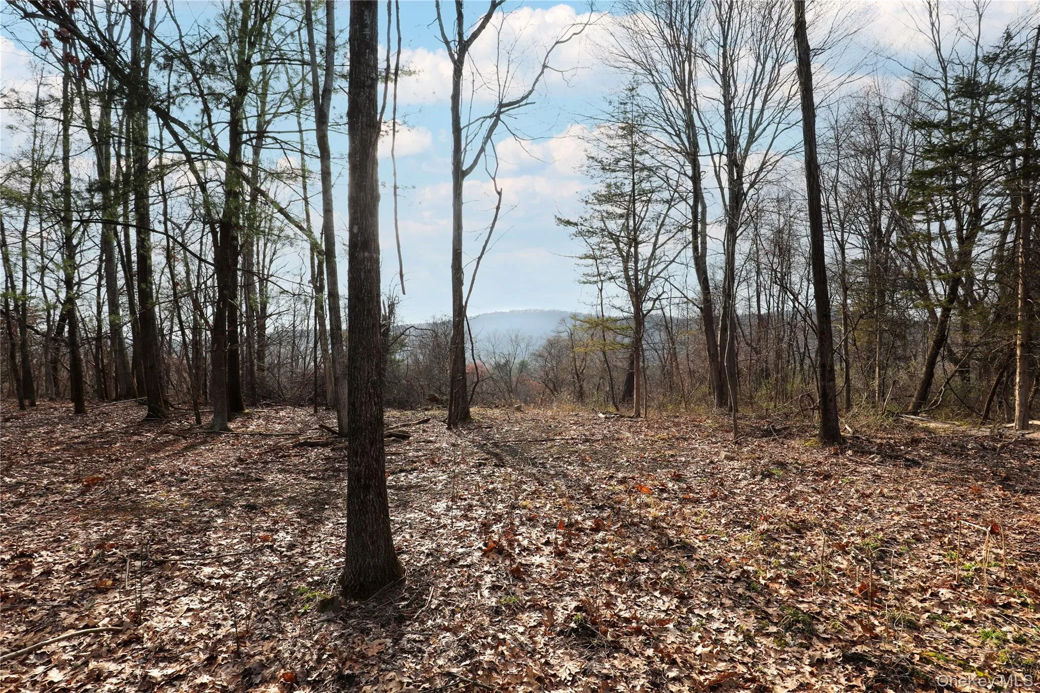 625 Broadway, Esopus, NY, ,Land,For Rent,Broadway,0,973424 625 Broadway, Esopus, NY, ,Land,For Rent,Broadway,0,973424