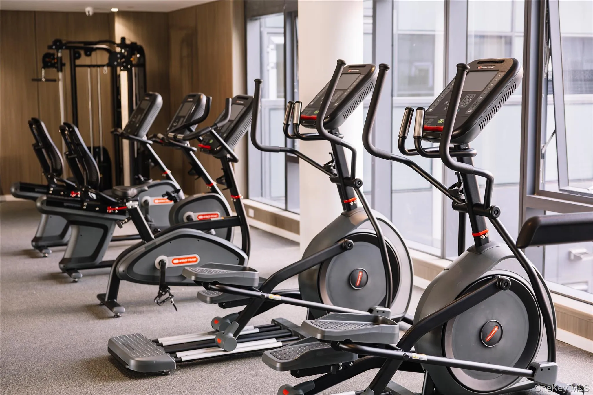 14449 Northern Boulevard, New York, NY, 1 Bedroom Bedrooms, 3 Rooms Rooms,1 BathroomBathrooms,Residential Lease,For Rent,Northern,0,973458 14449 Northern Boulevard, New York, NY, 1 Bedroom Bedrooms, 3 Rooms Rooms,1 BathroomBathrooms,Residential Lease,For Rent,Northern,0,973458